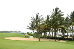 Mauritius Open betting tips and preview