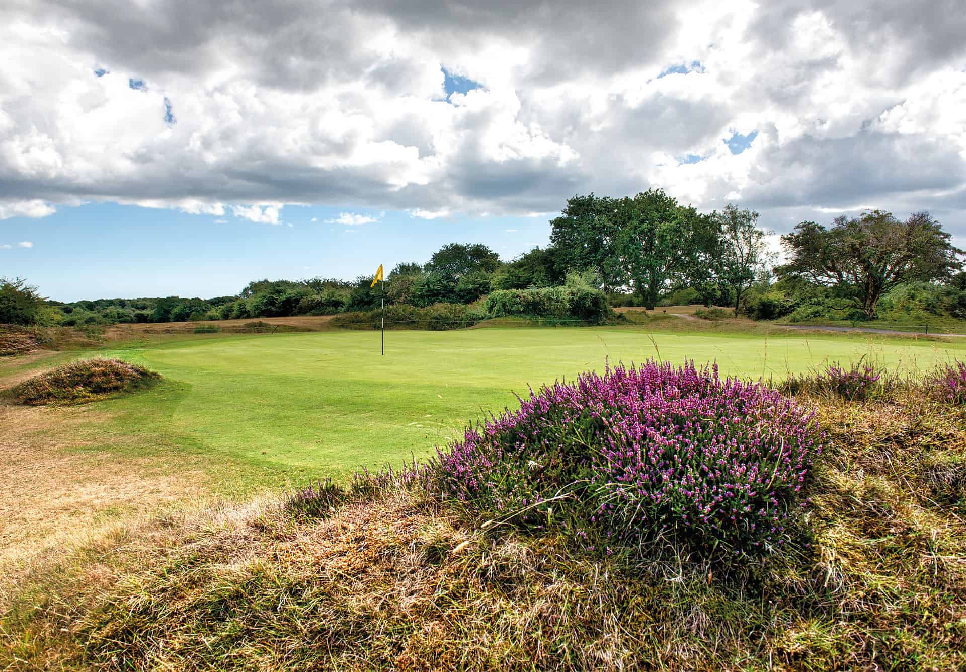 Yelverton: A delightful moorland course that poses a challenge to golfers of all standards