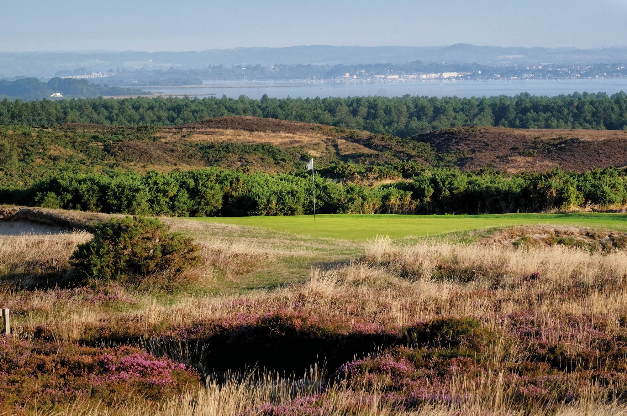 isle of purbeck golf club