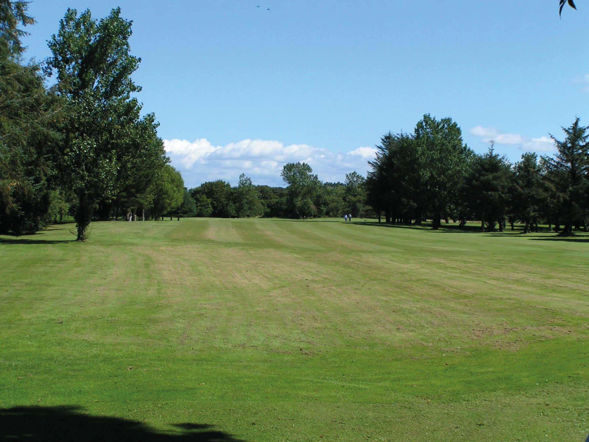 Pwllheli Golf proshop