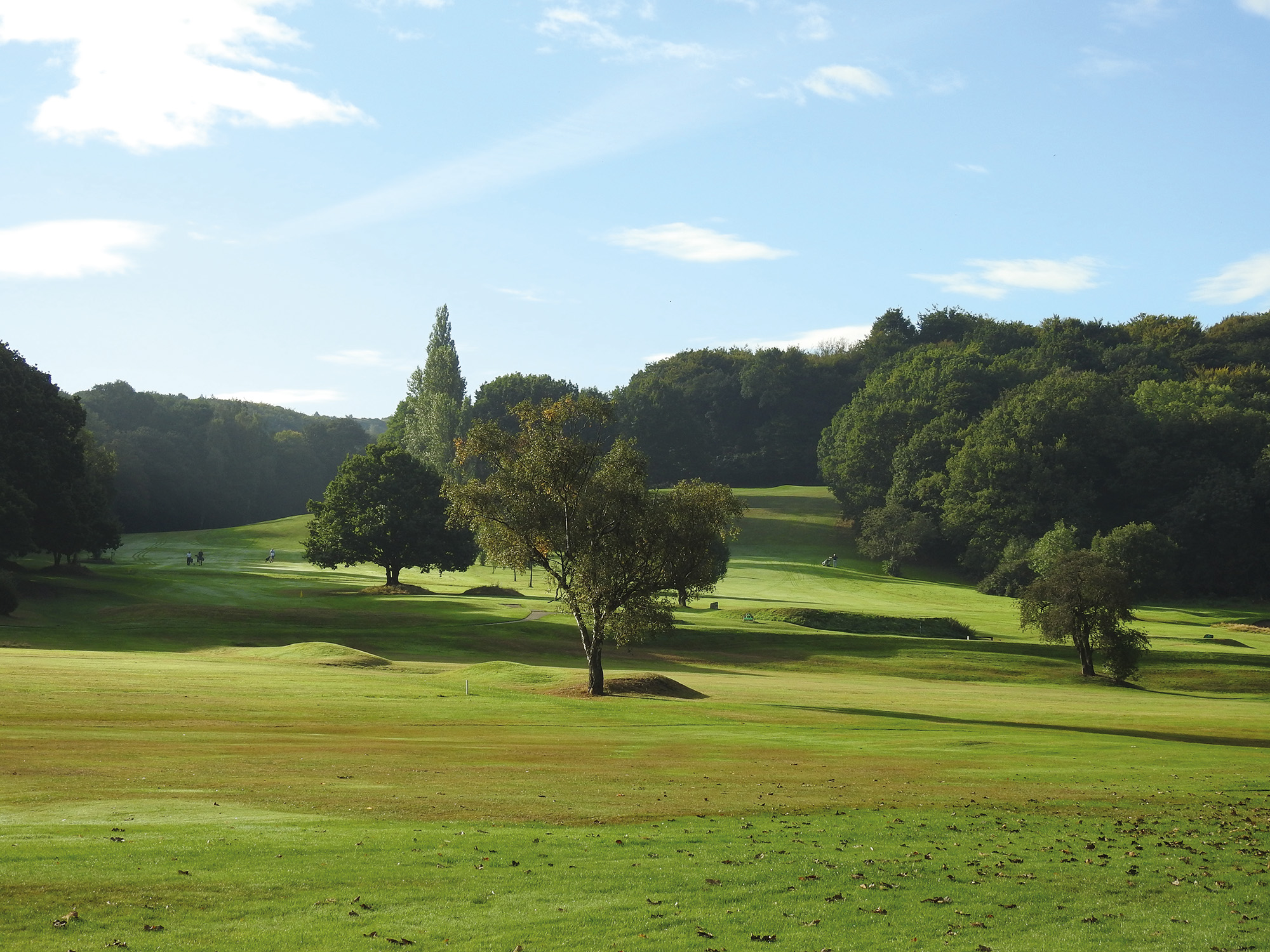 longley park golf club