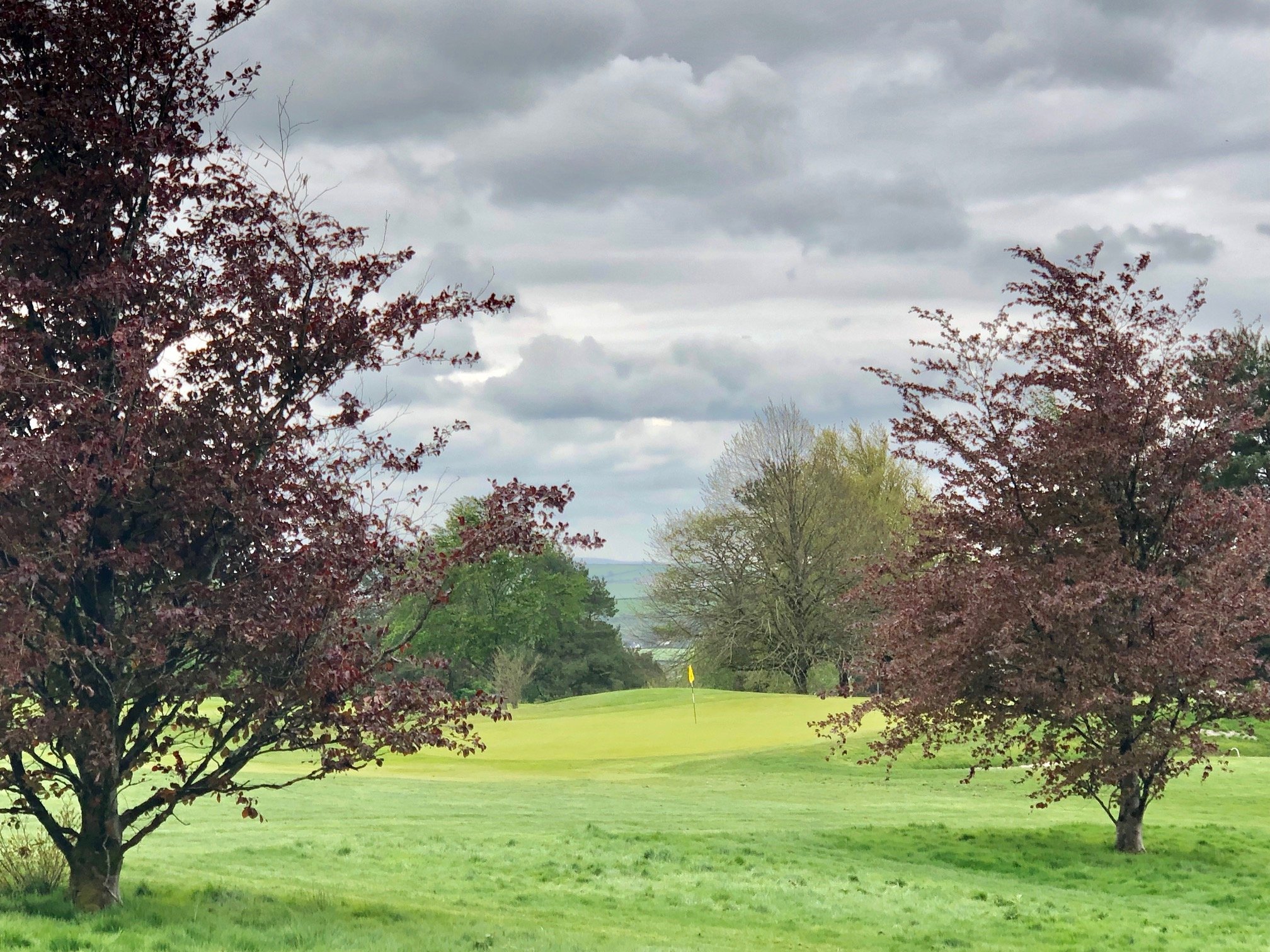 launceston golf scorecard