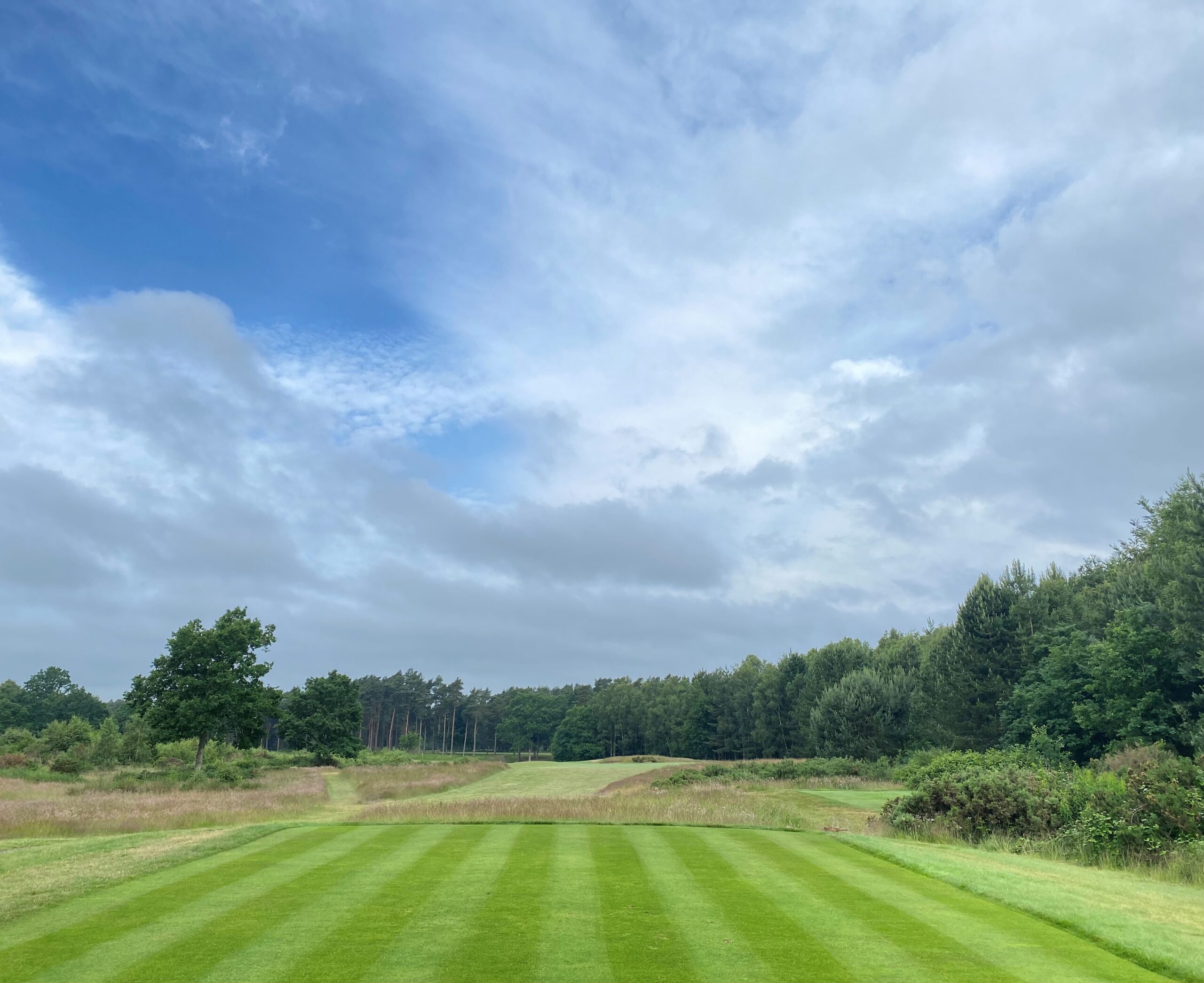 52+ Spielt Man Auf Englischen Rasen Golf, Die auswahl des richtigen