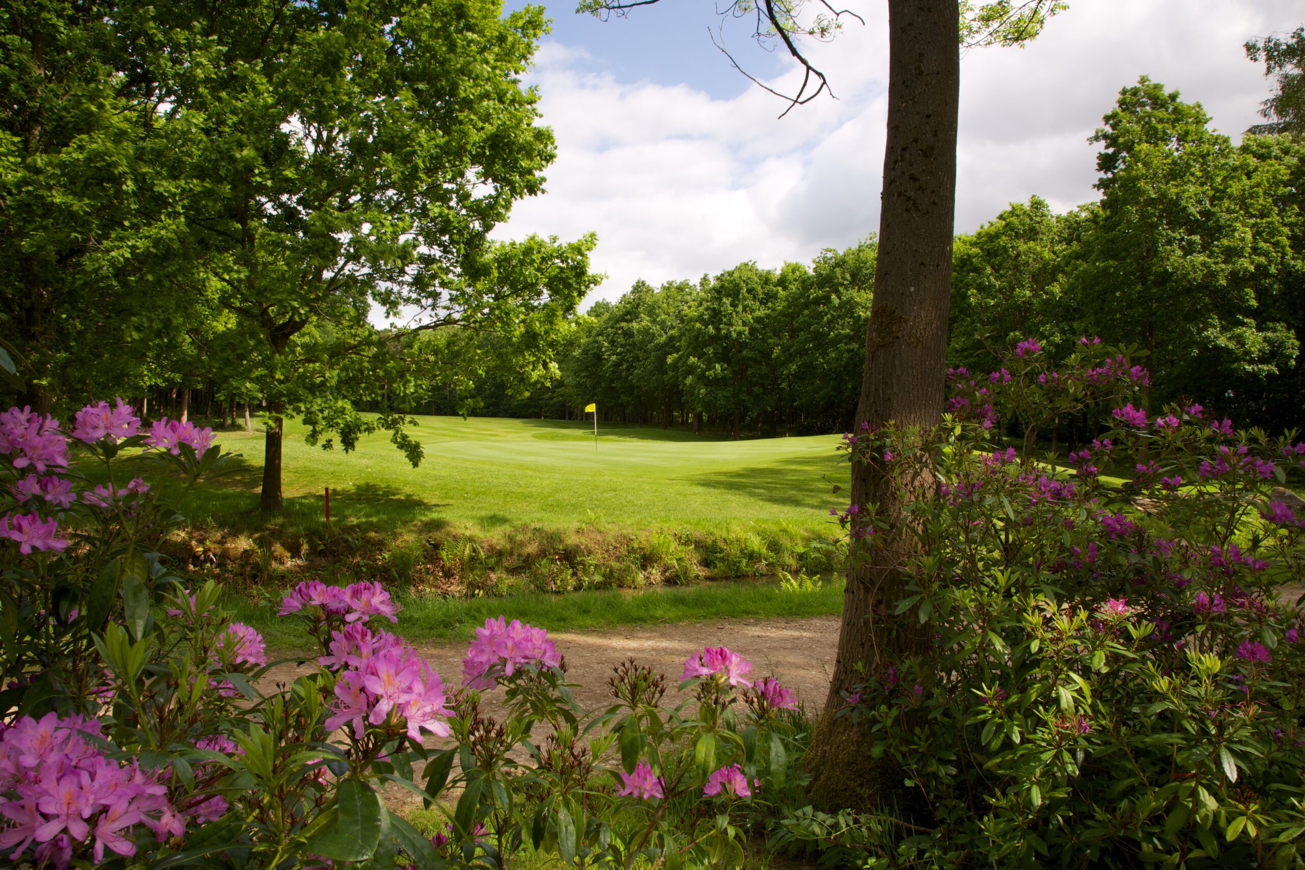 rudding park golf membership