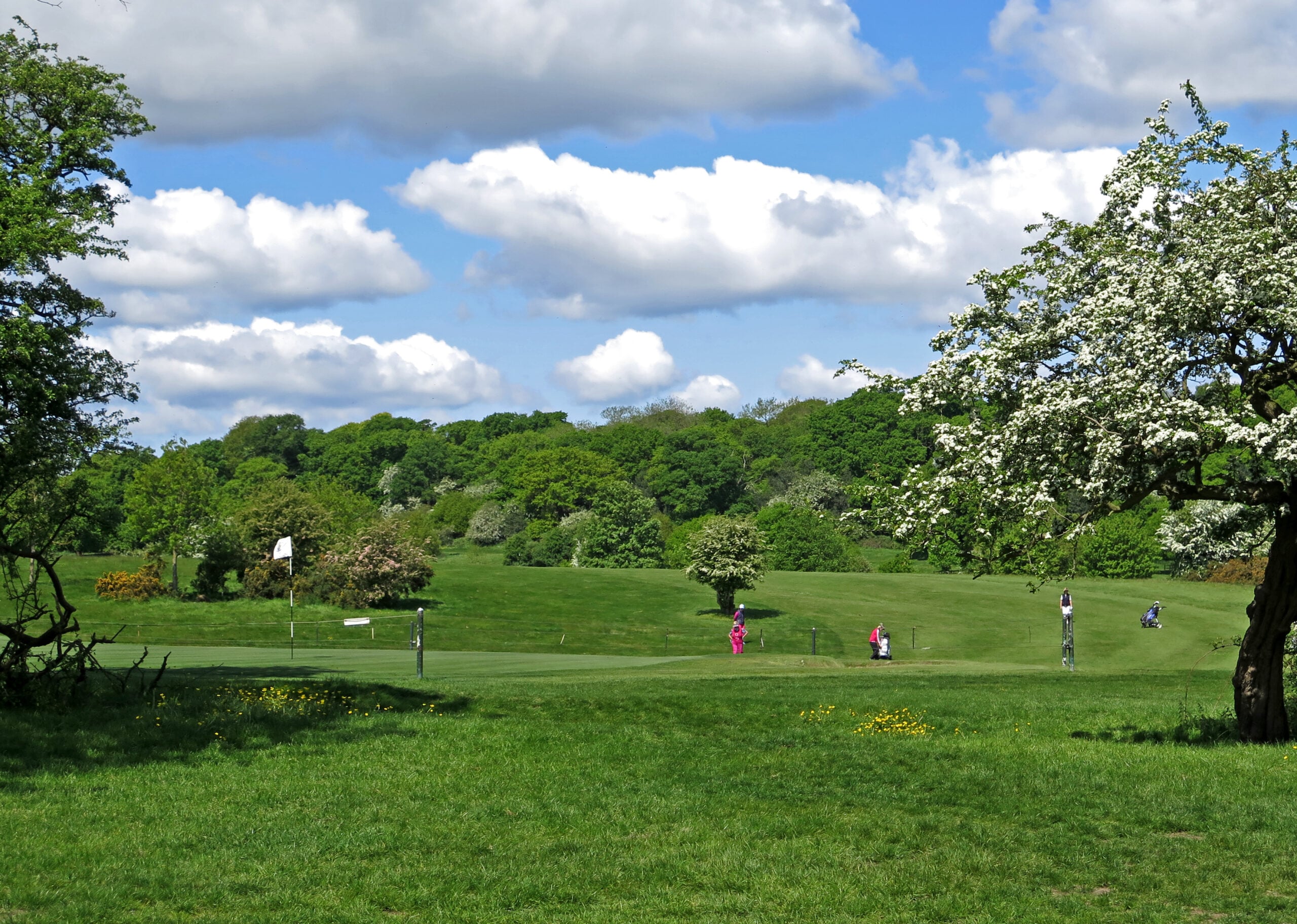 beverley & east riding golf proshop
