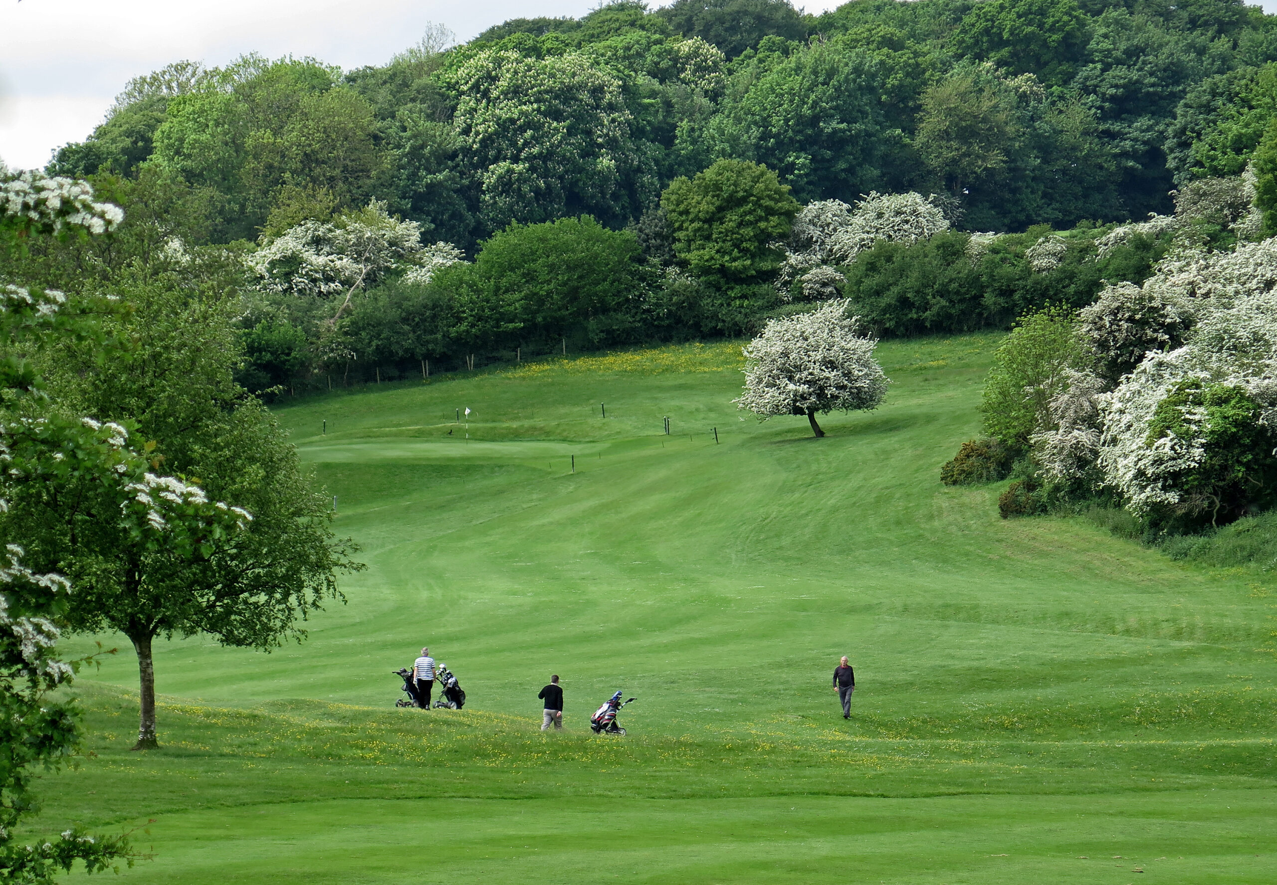 beverley and east riding golf club