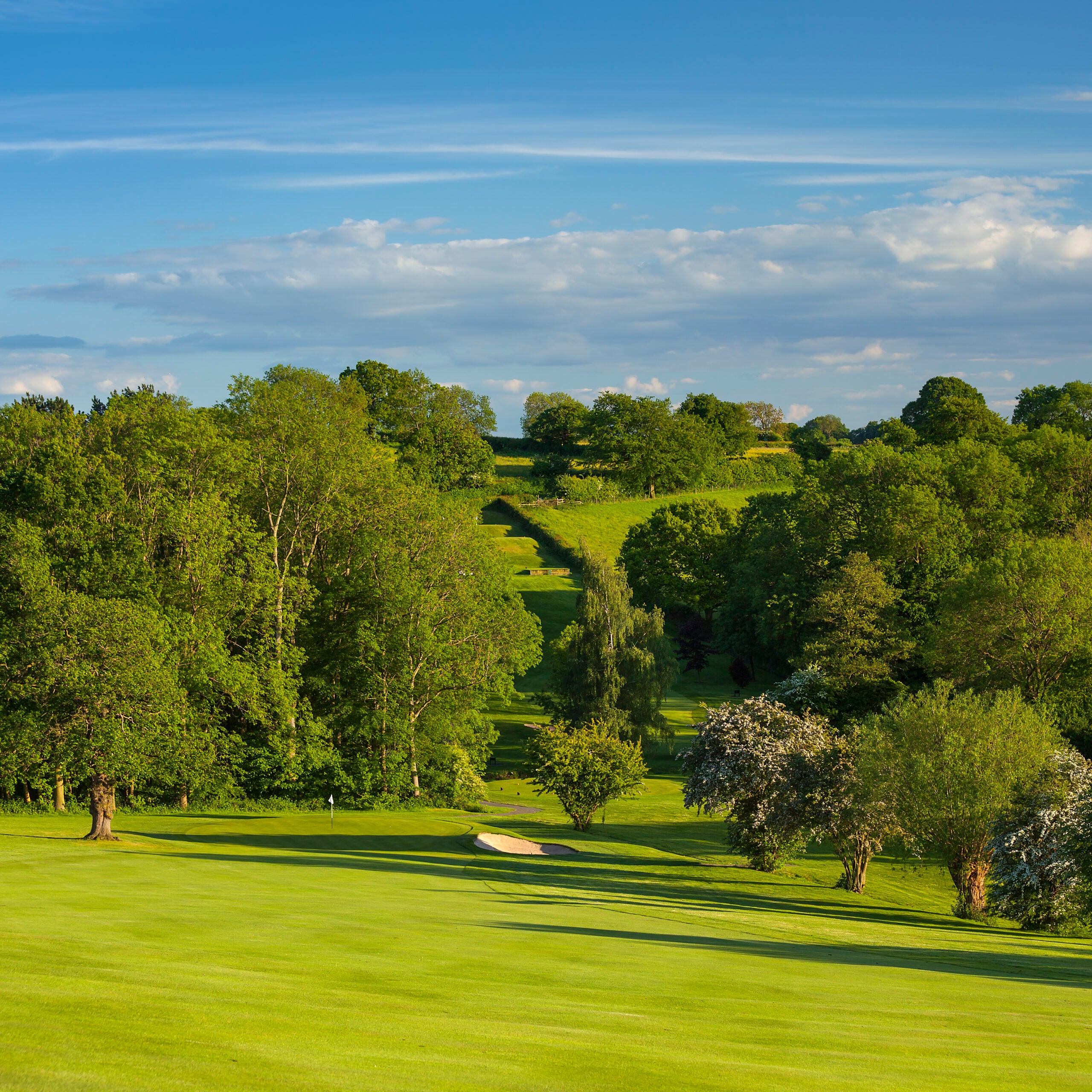 breadsall priory golf