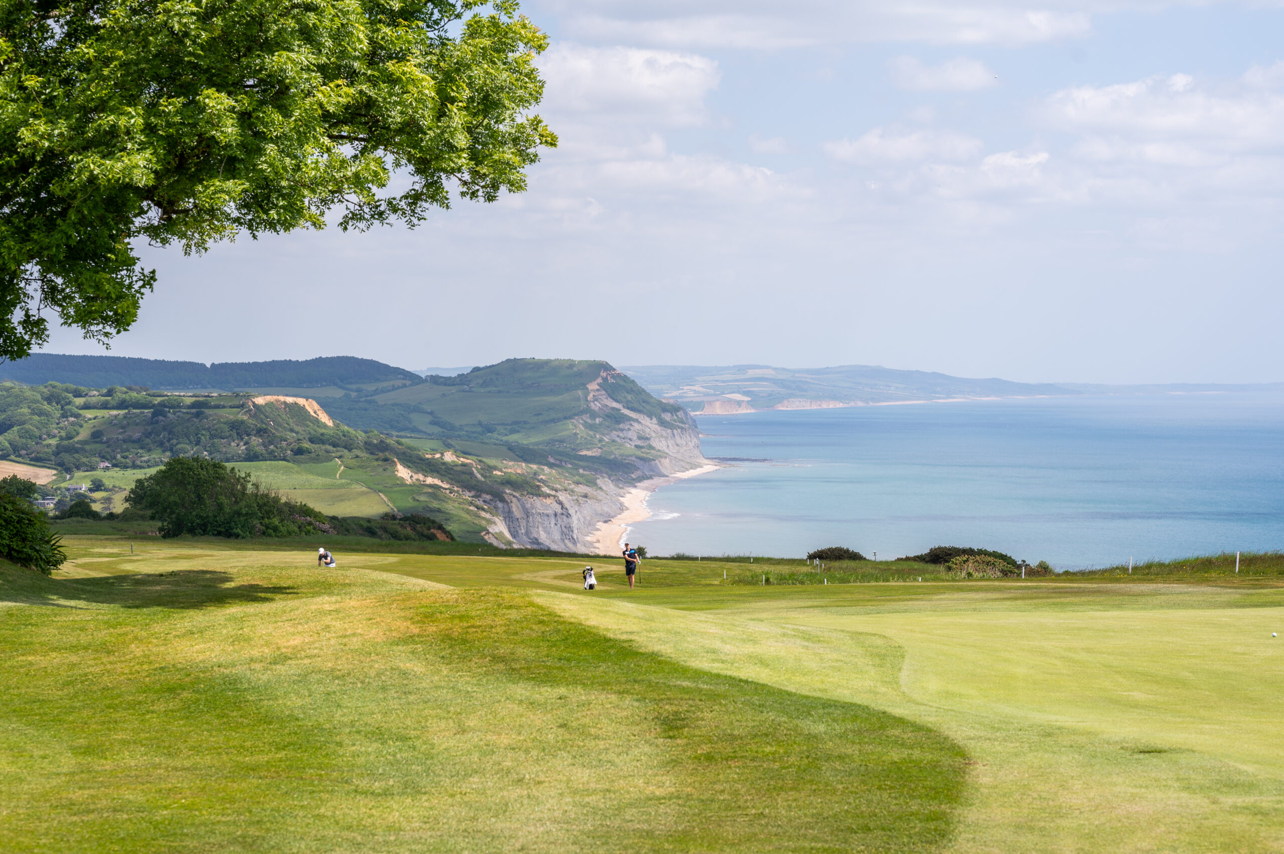 lyme regis golf club