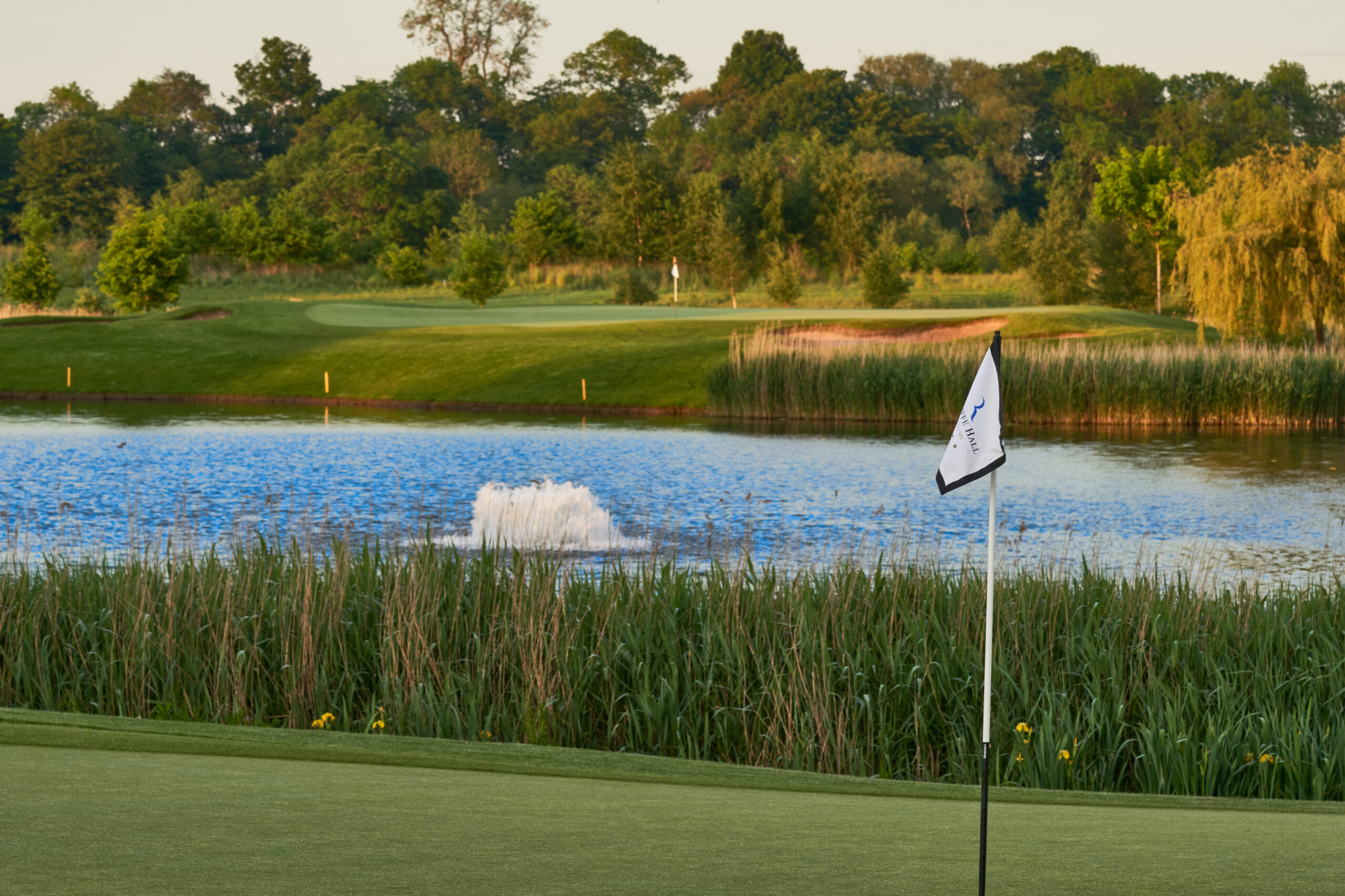 rockliffe hall hotel