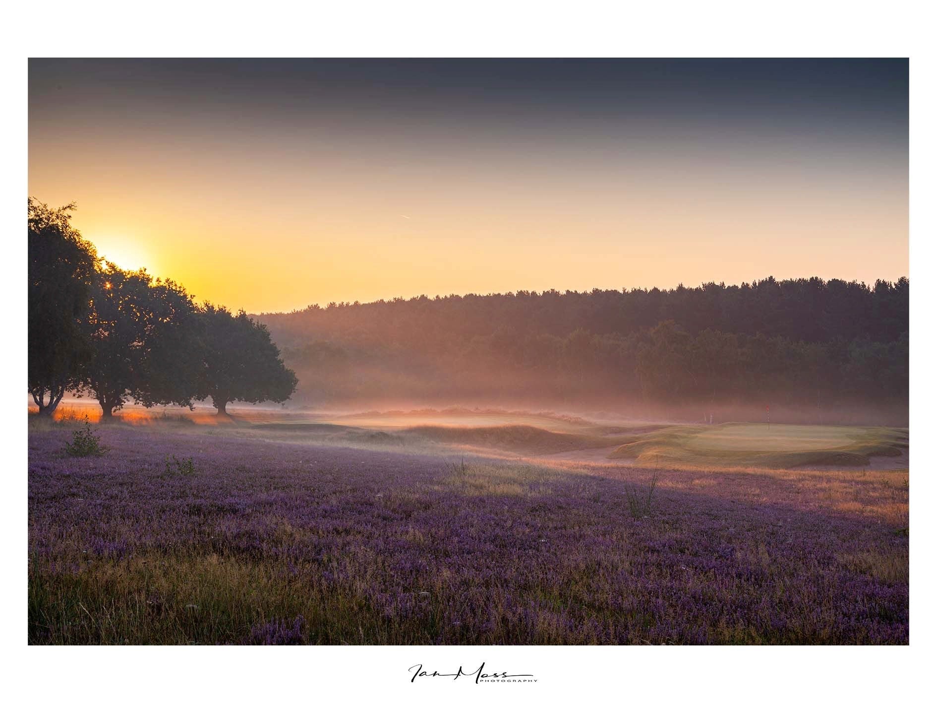 sherwood forest golf club