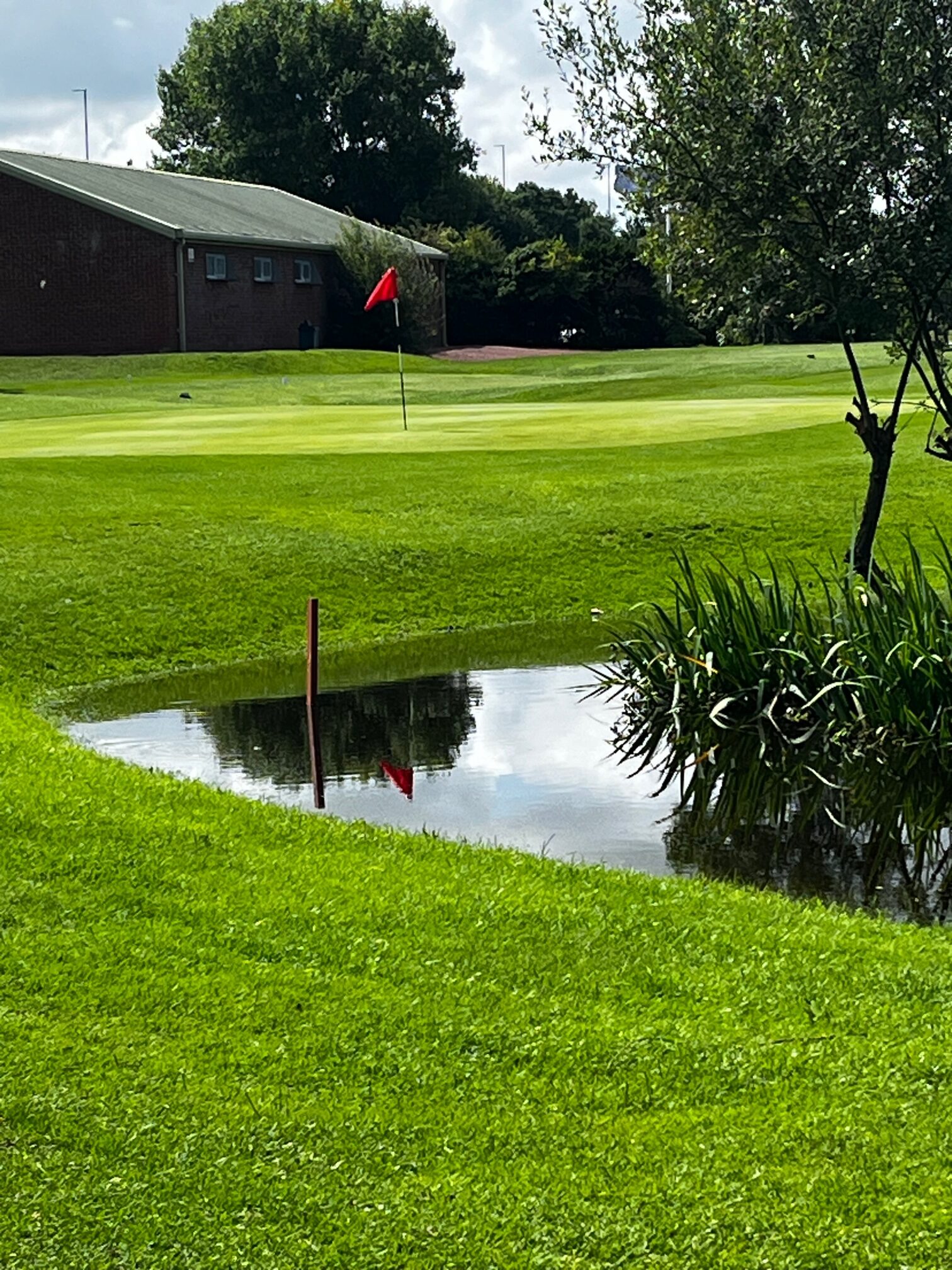 bidston golf club