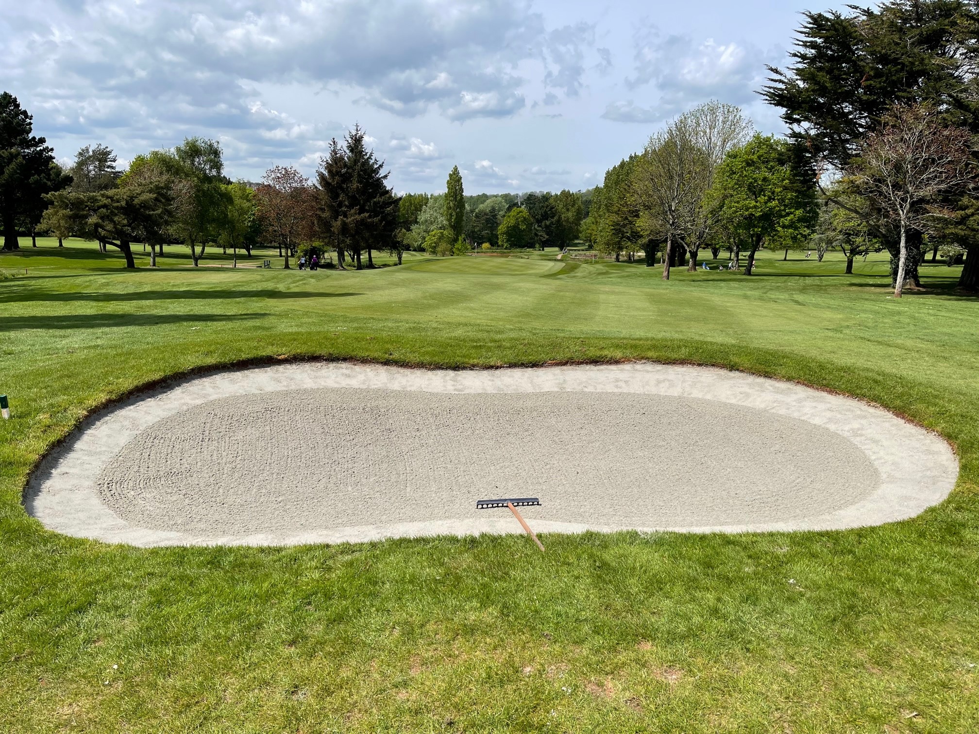 torquay golf club scorecard