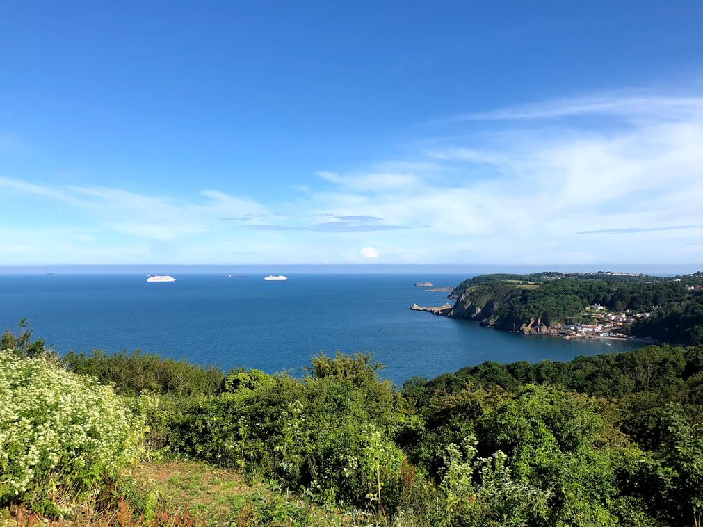 torquay golf club aerial