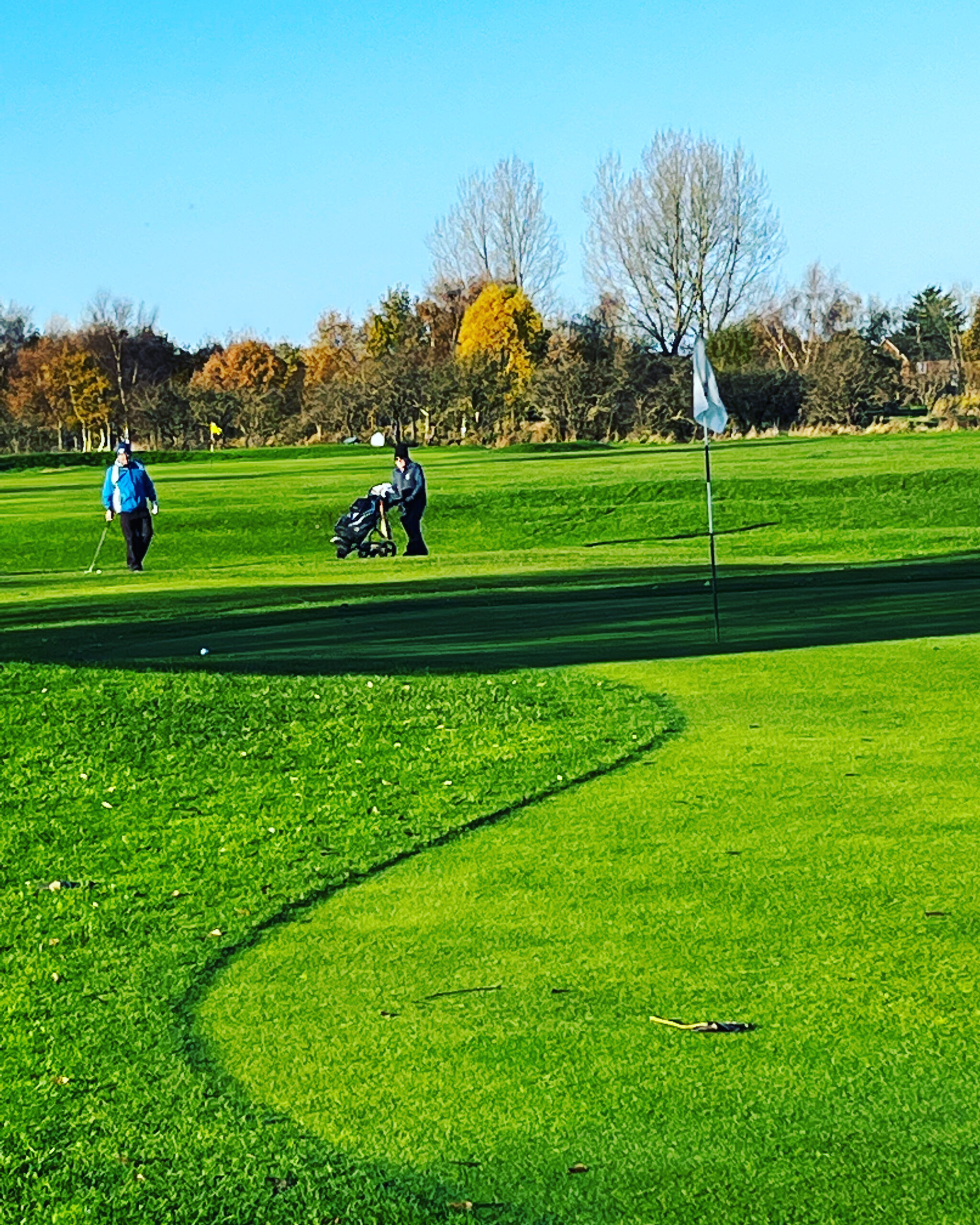 bidston golf club green