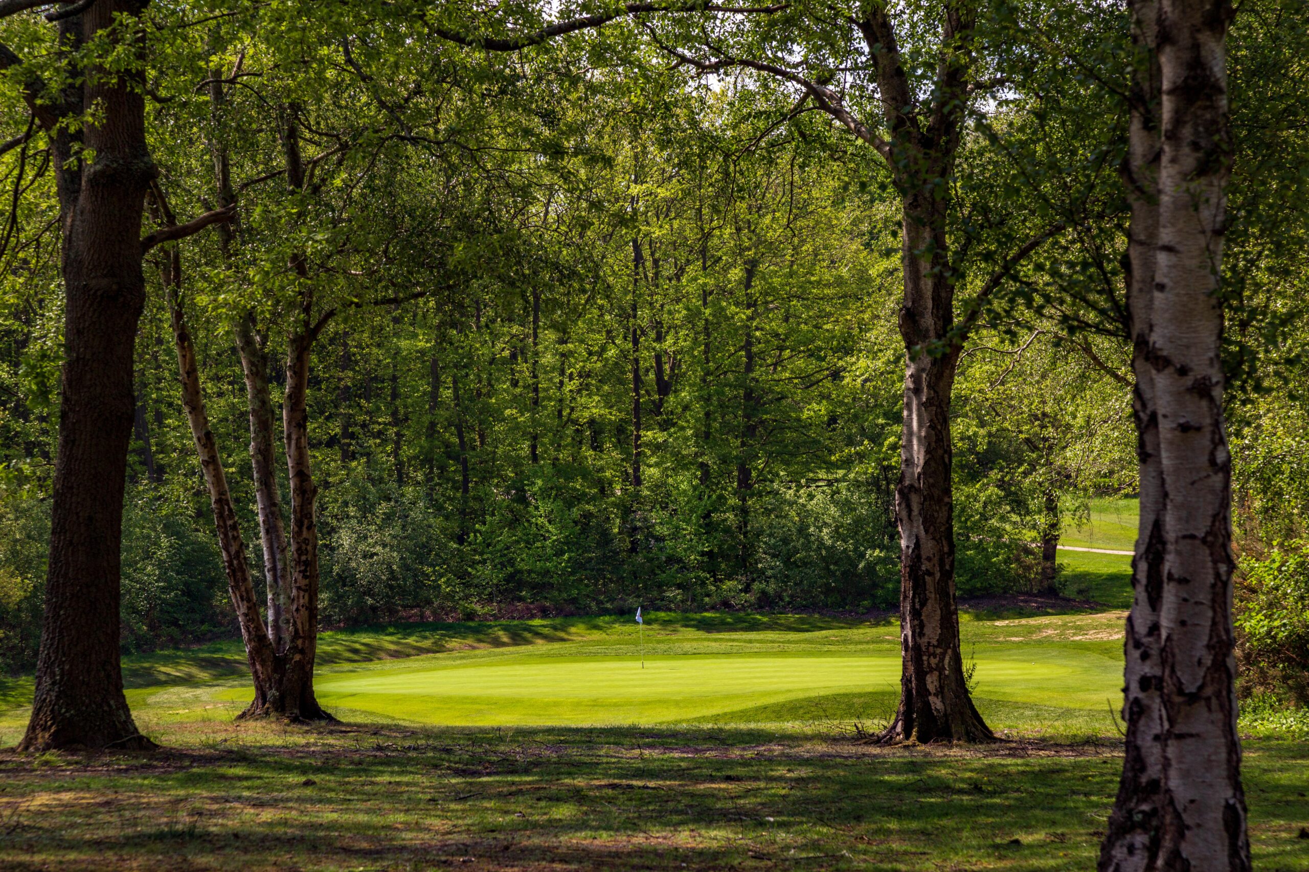 waterlooville golf club