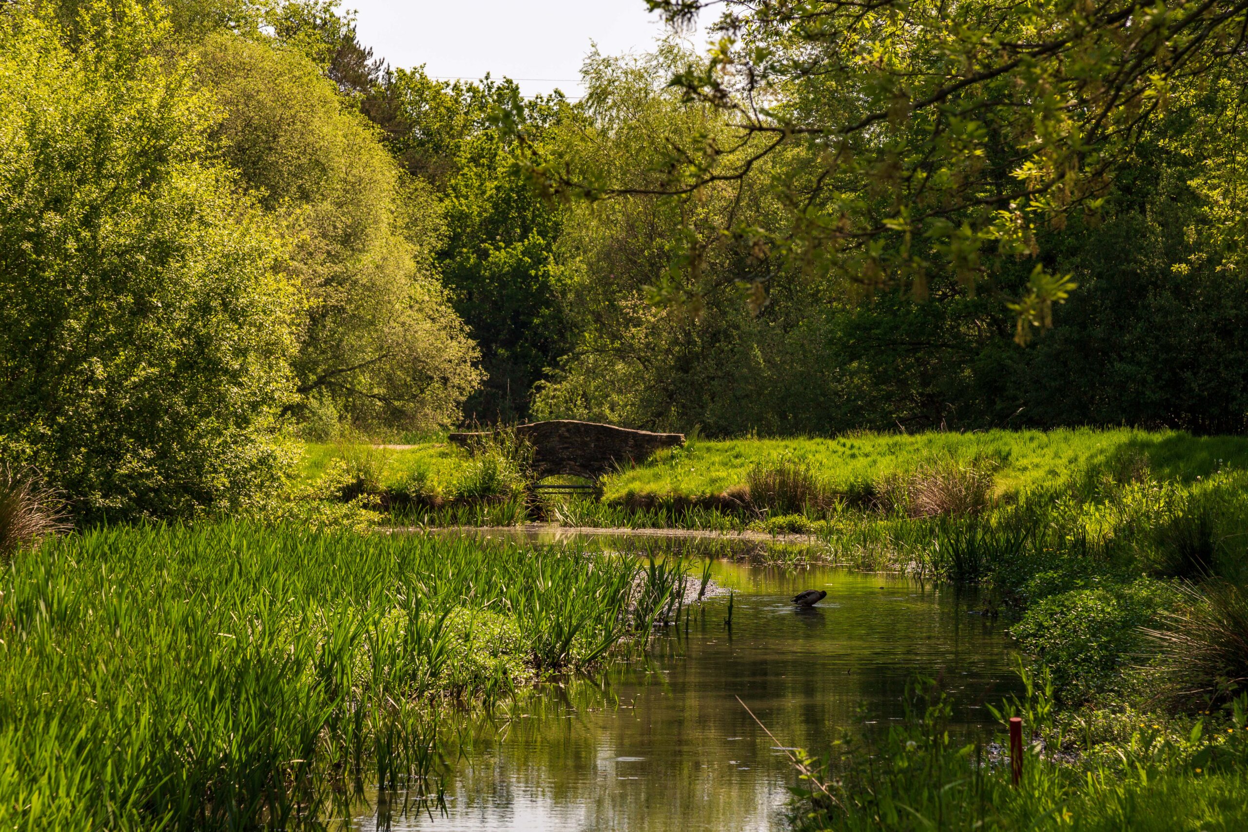 waterlooville golf club