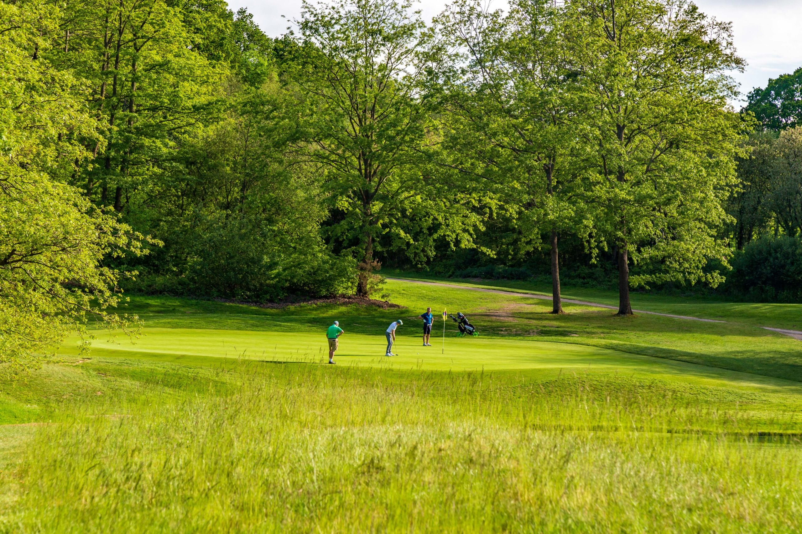 waterlooville golf club