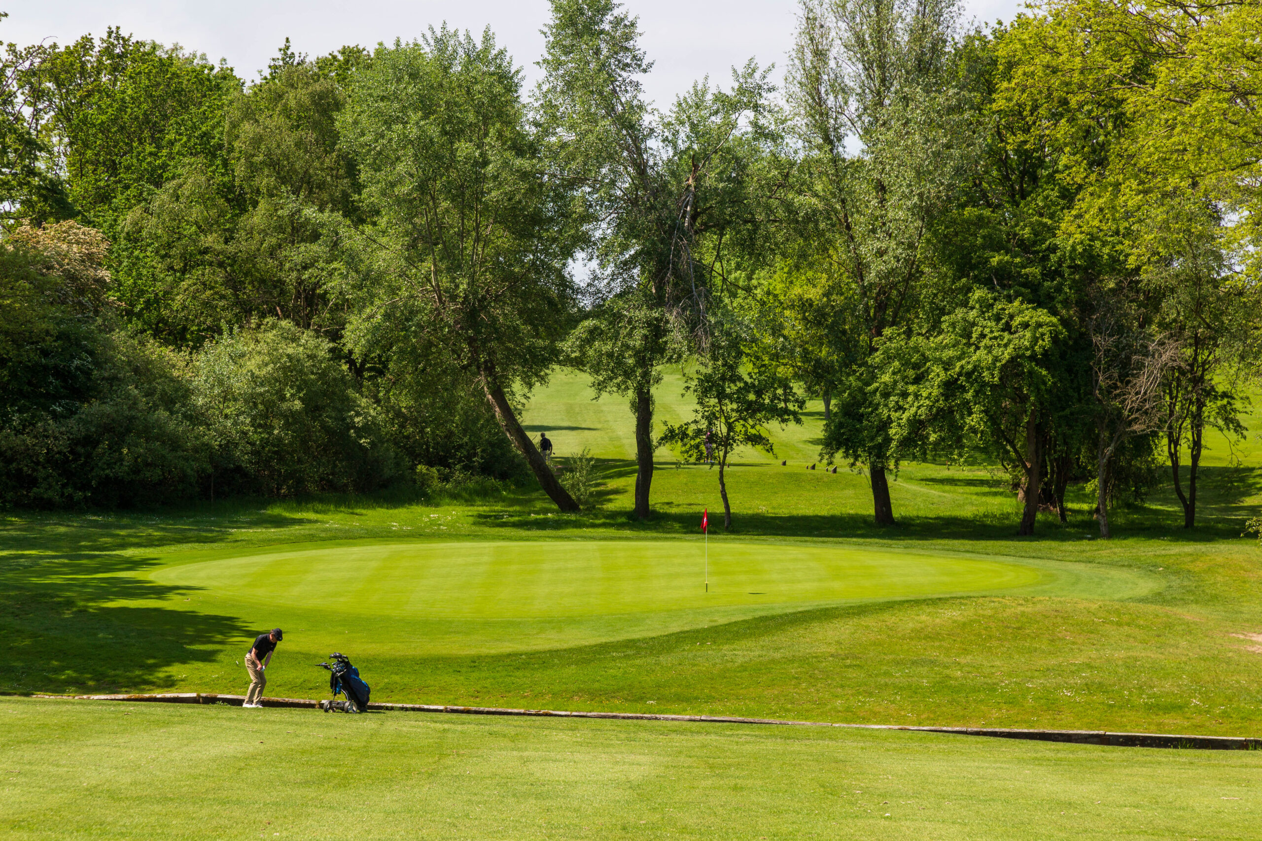 waterlooville golf club