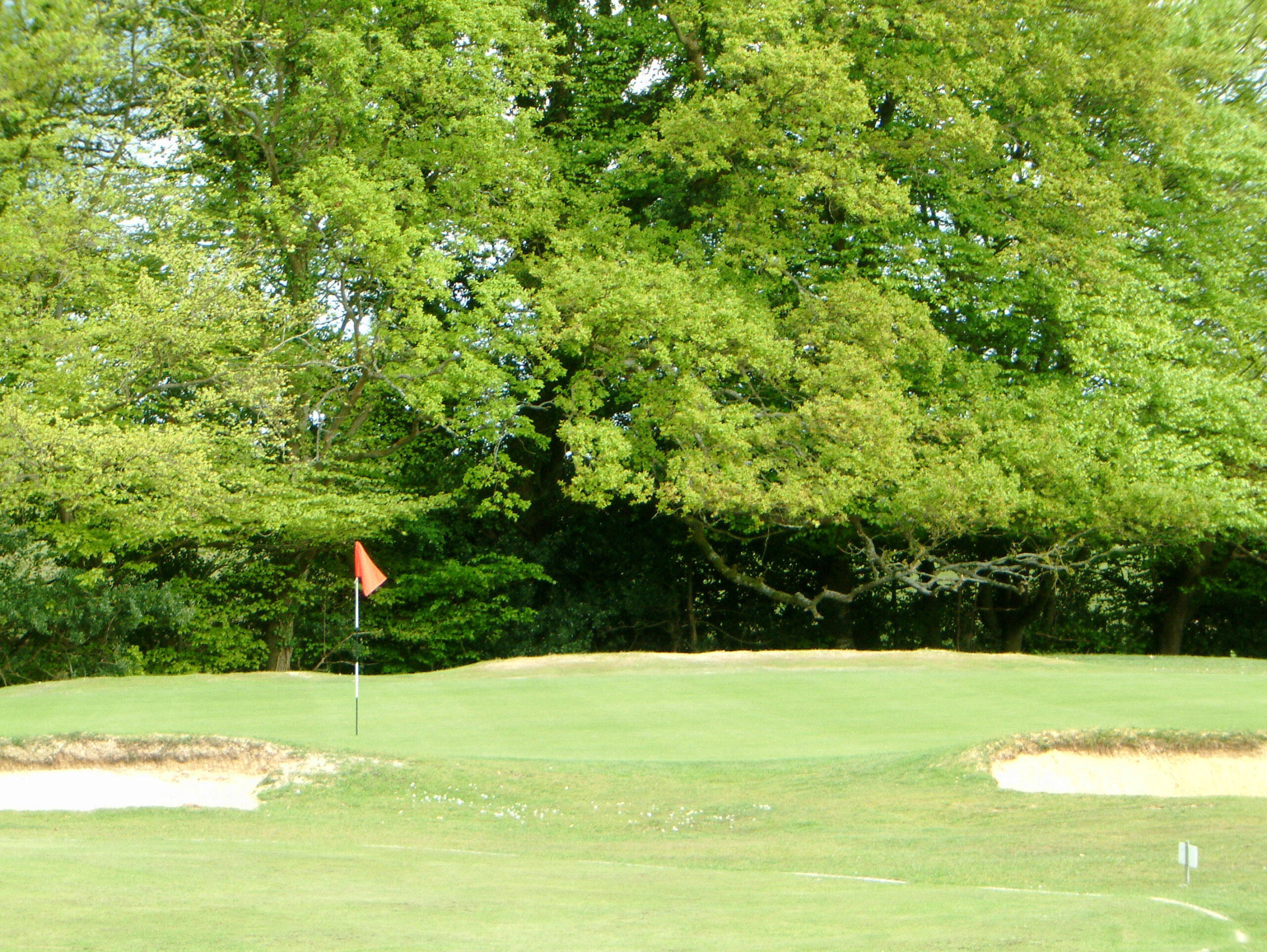 bramshaw golf club