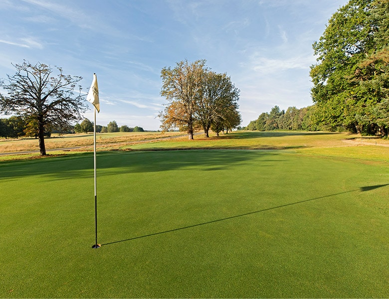 paultons golf centre