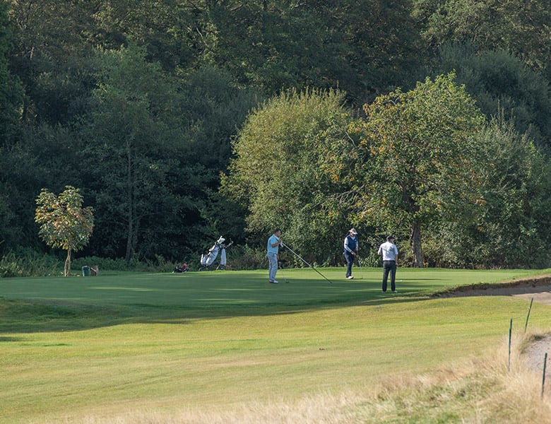 paultons golf centre