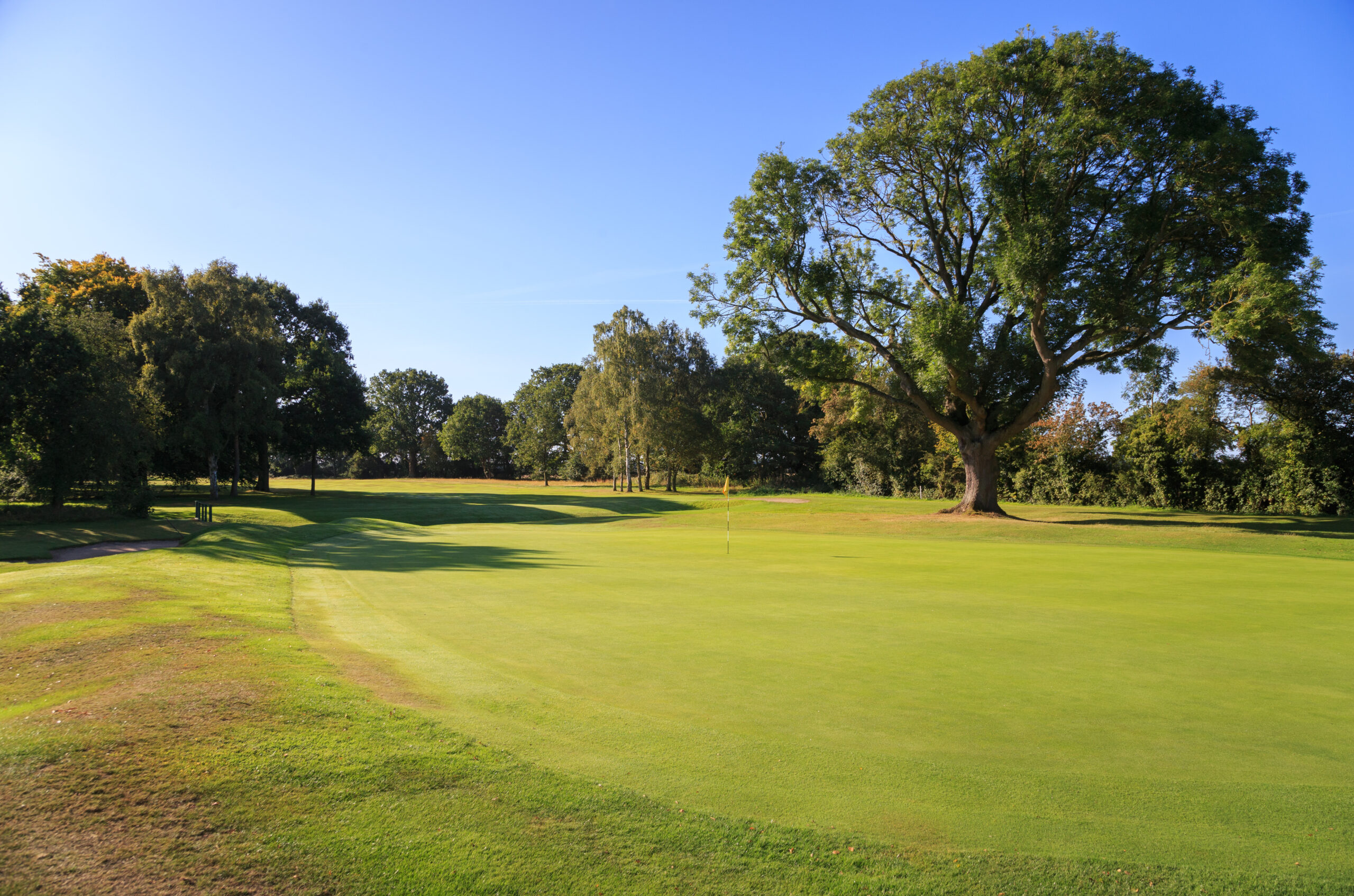 fulford golf club