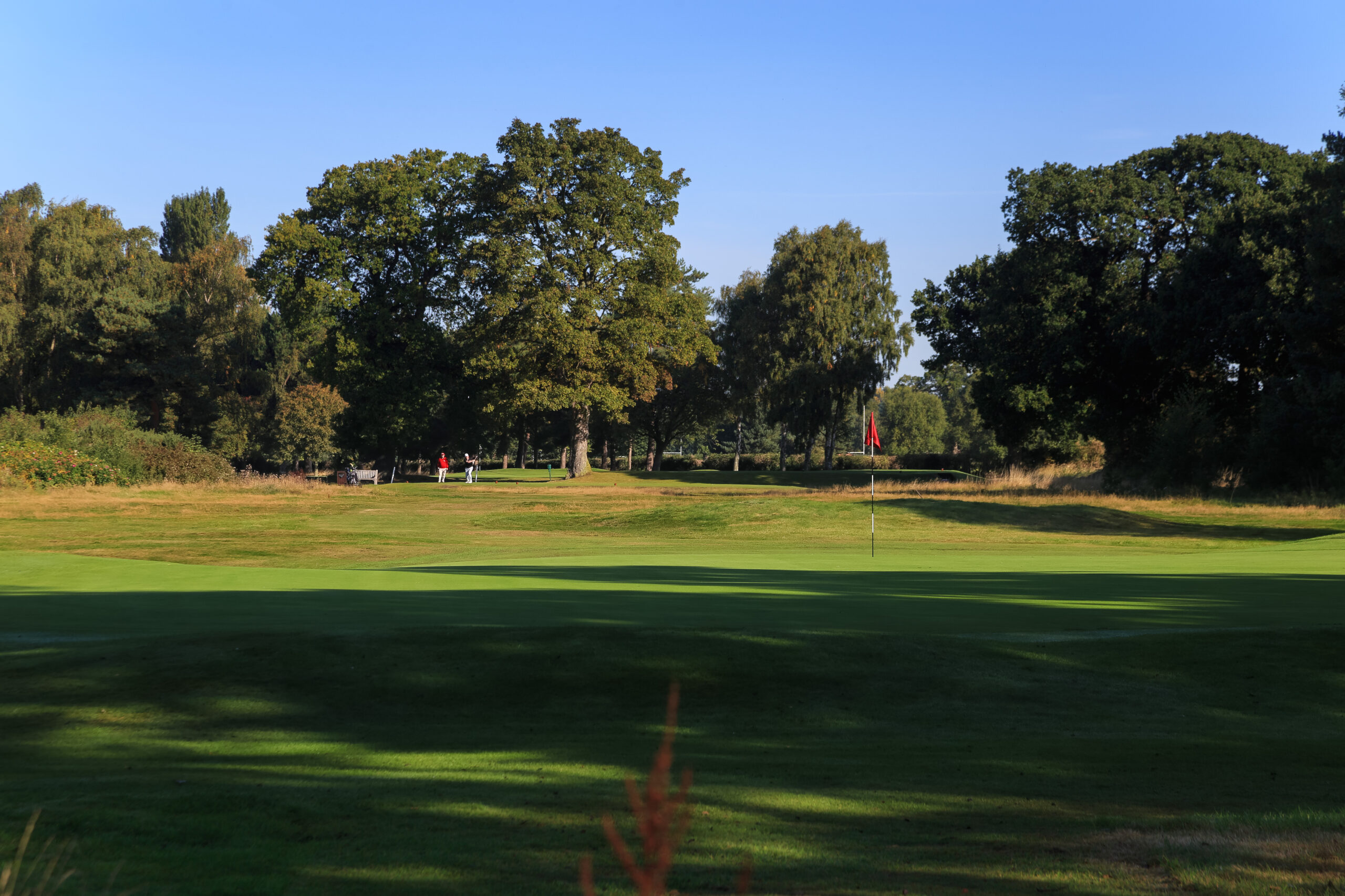 fulford golf club