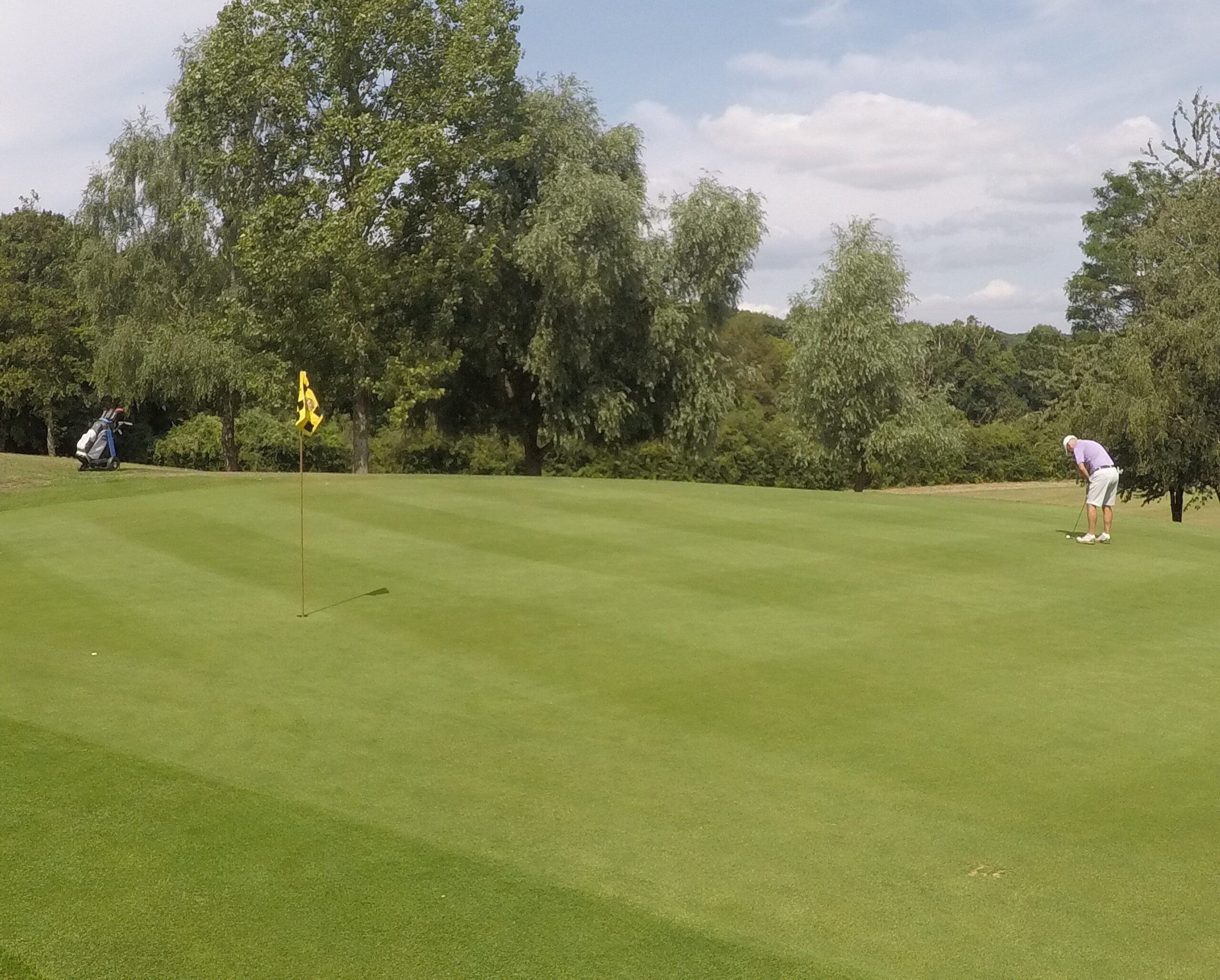 tenterden golf club