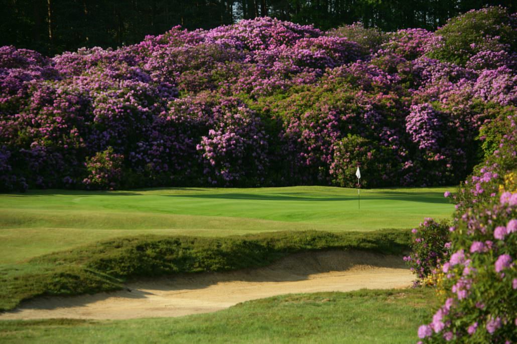 Swinley Forest golf course review