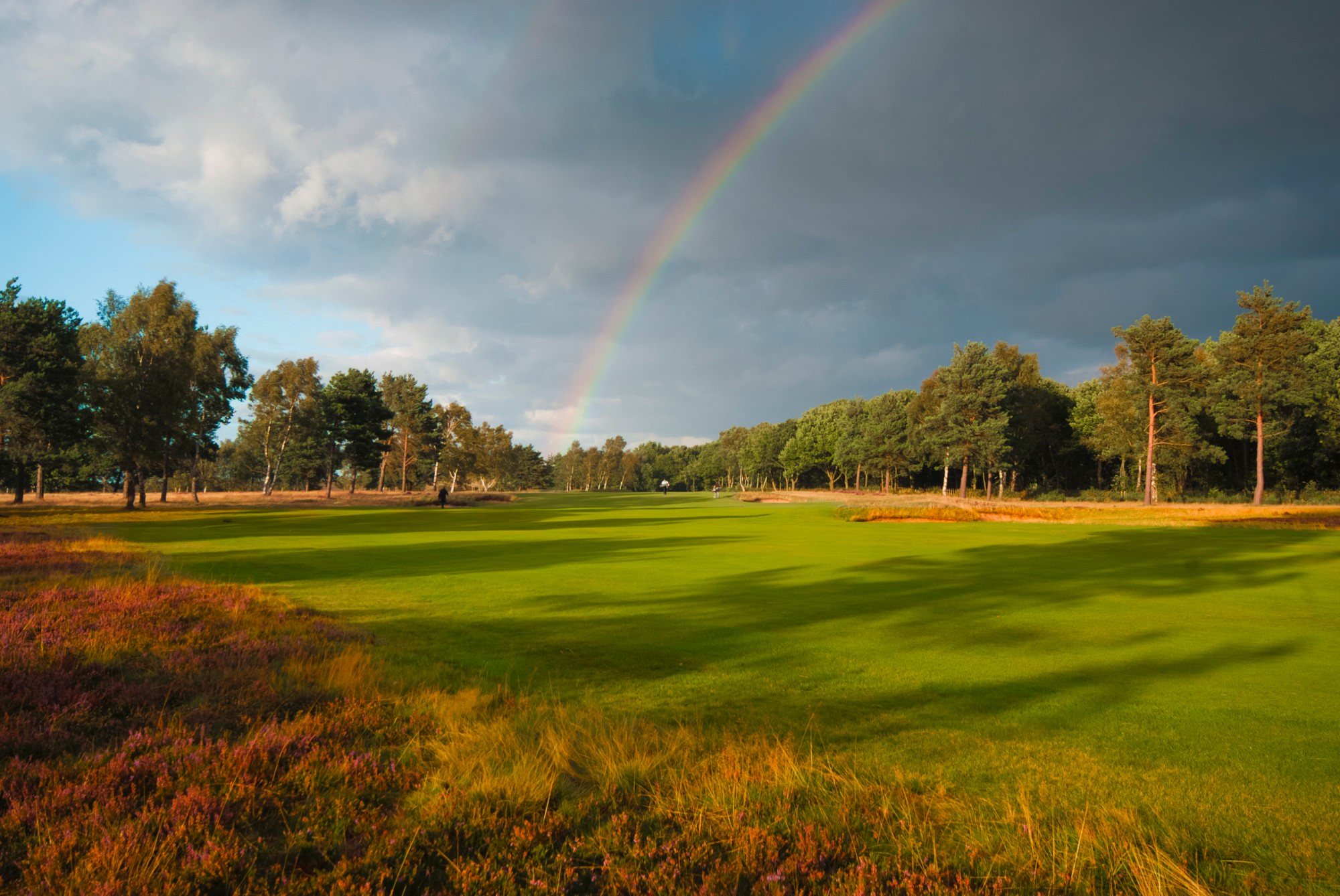 Sherwood Forest golf course review