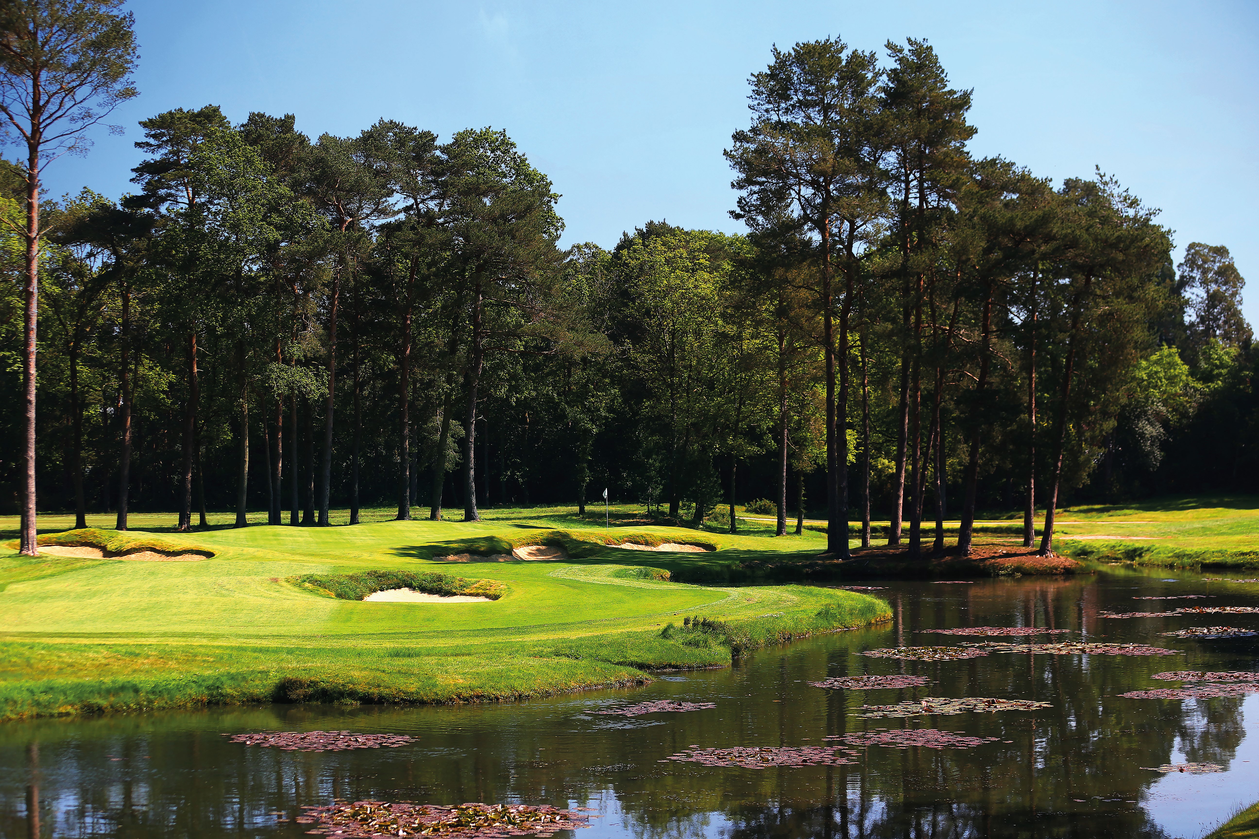 Woking golf course review