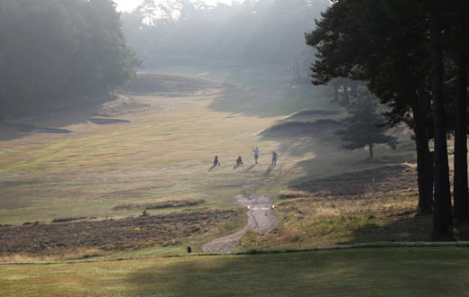 SE: Camberley Heath laying down new Foundations