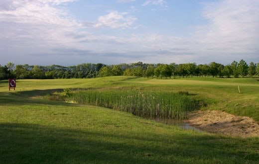 North East: Thieves steal entire supply of balls from club