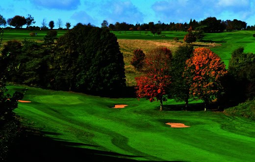 South West: Goodwin wins county PGA medal