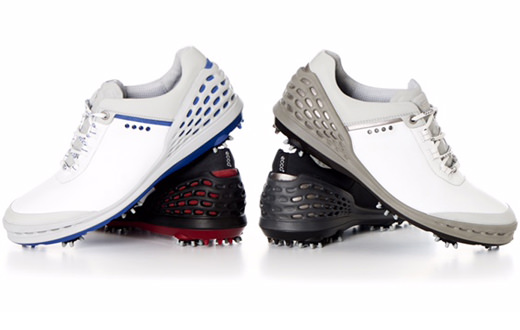 Equipment: Ecco Cage shoes promise stability and comfort