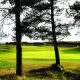 Top 100 links golf courses in GB&I: 62 - Panmure