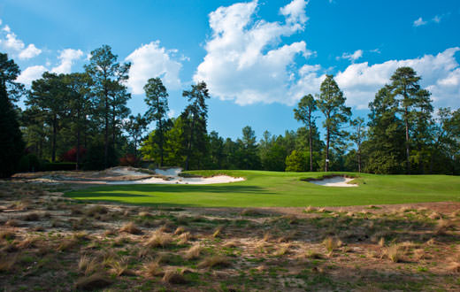 Golf in the USA: Our man plays and reviews Pinehurst