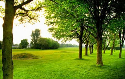 Top 100 nine-hole courses: Wales