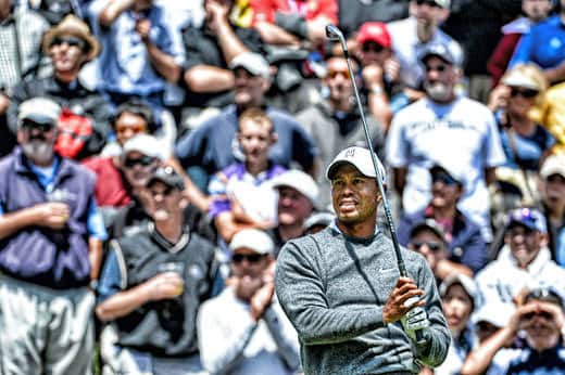 Tiger Woods' Nike VR_S 2-iron