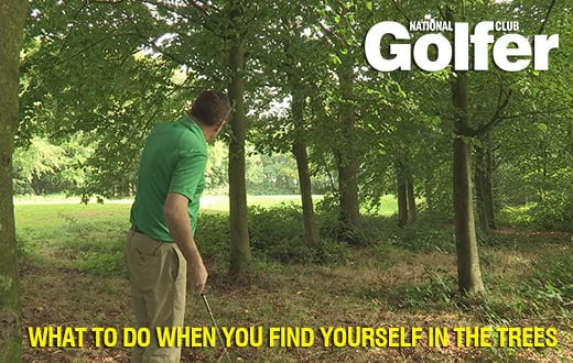 Instruction: What to do when you find yourself in the trees