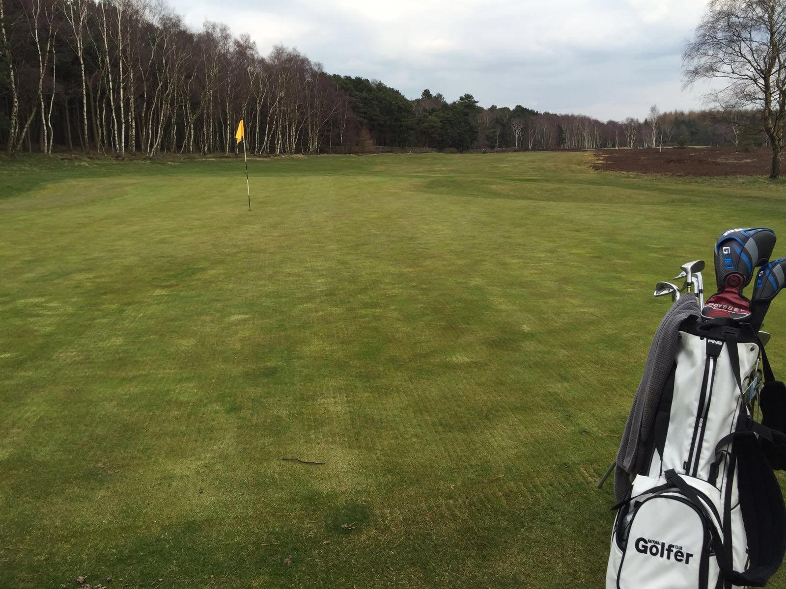 Bingley St Ives review