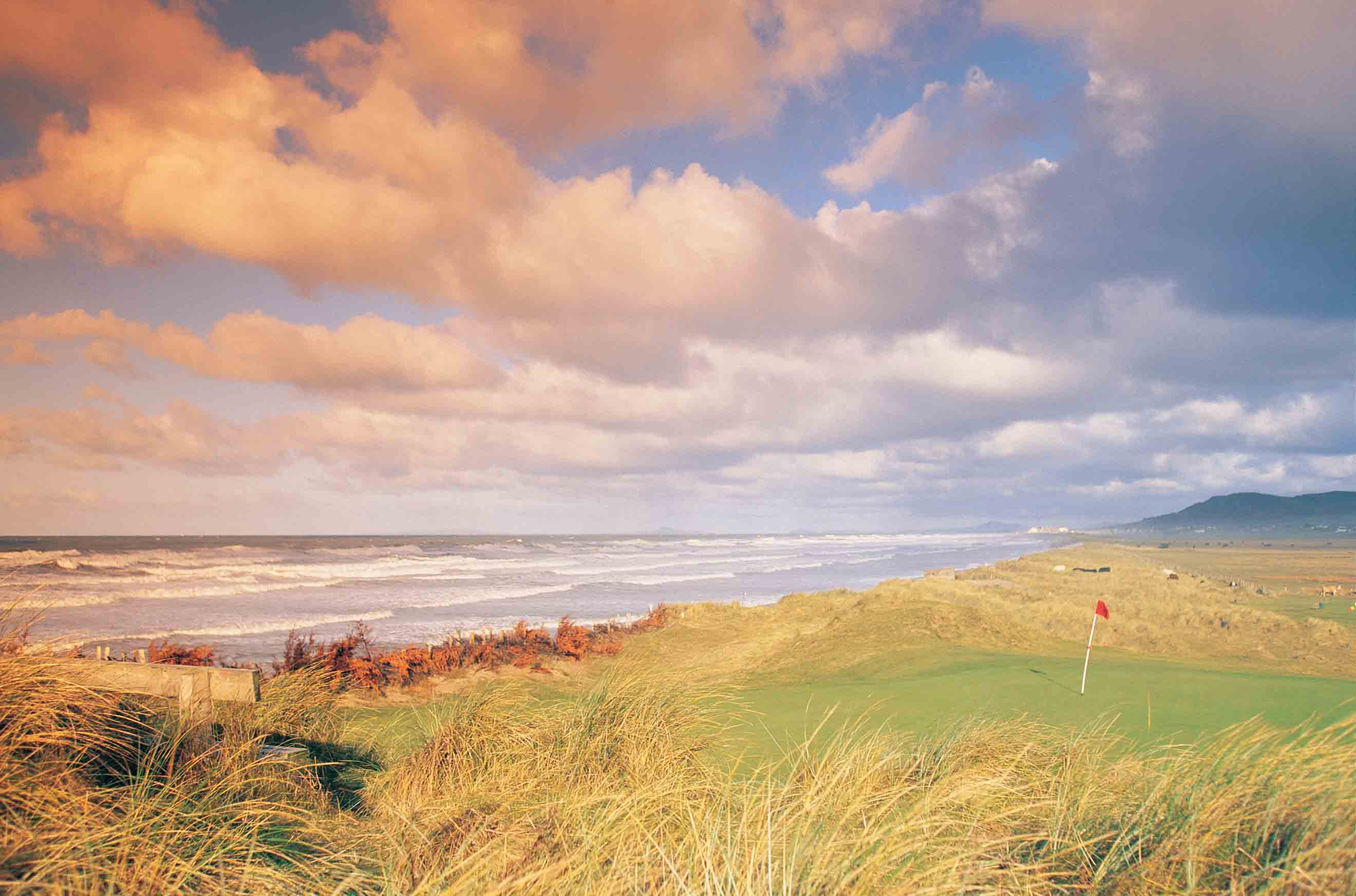 NCG Top 100s Wales panel