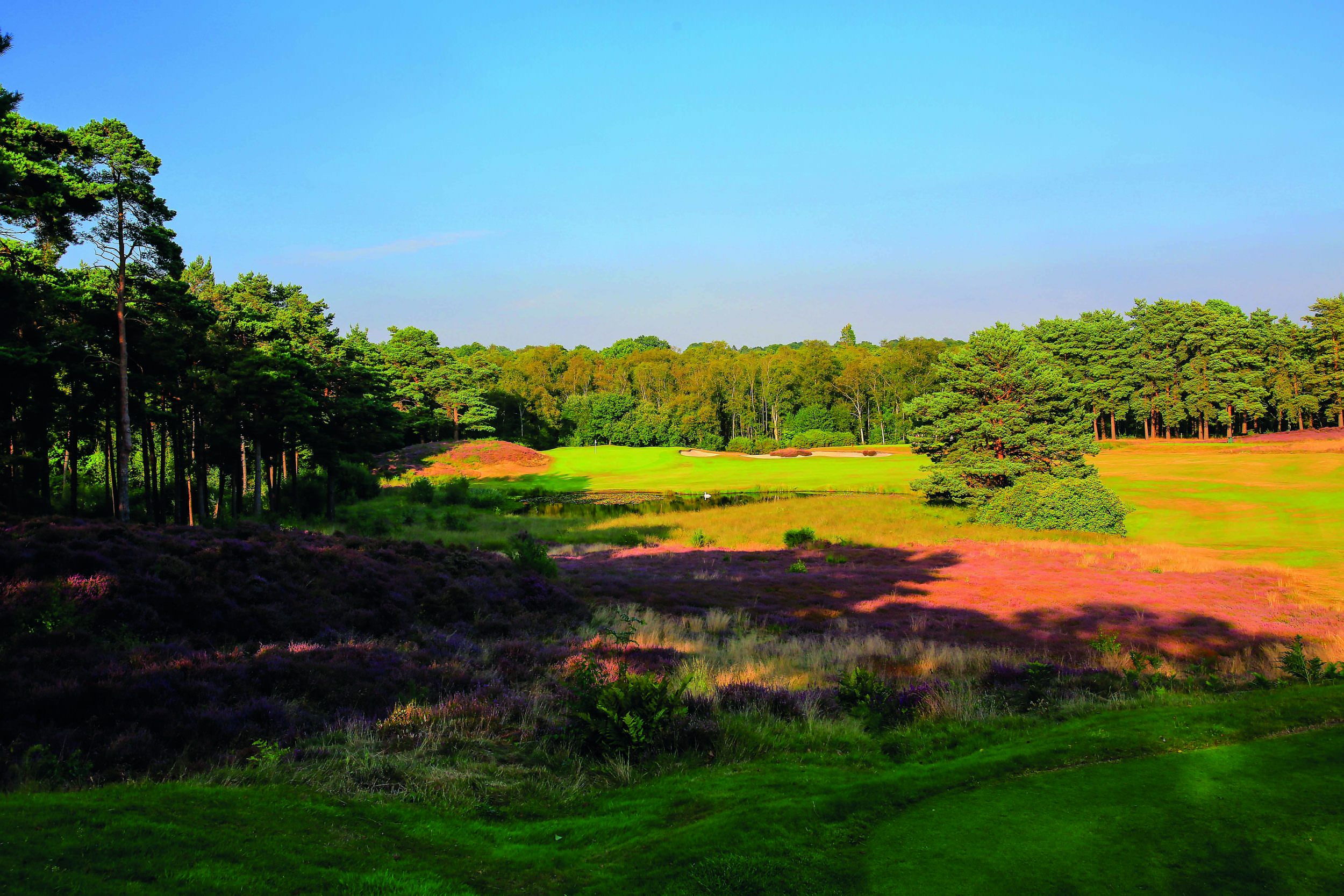 Best golf courses in Sussex
