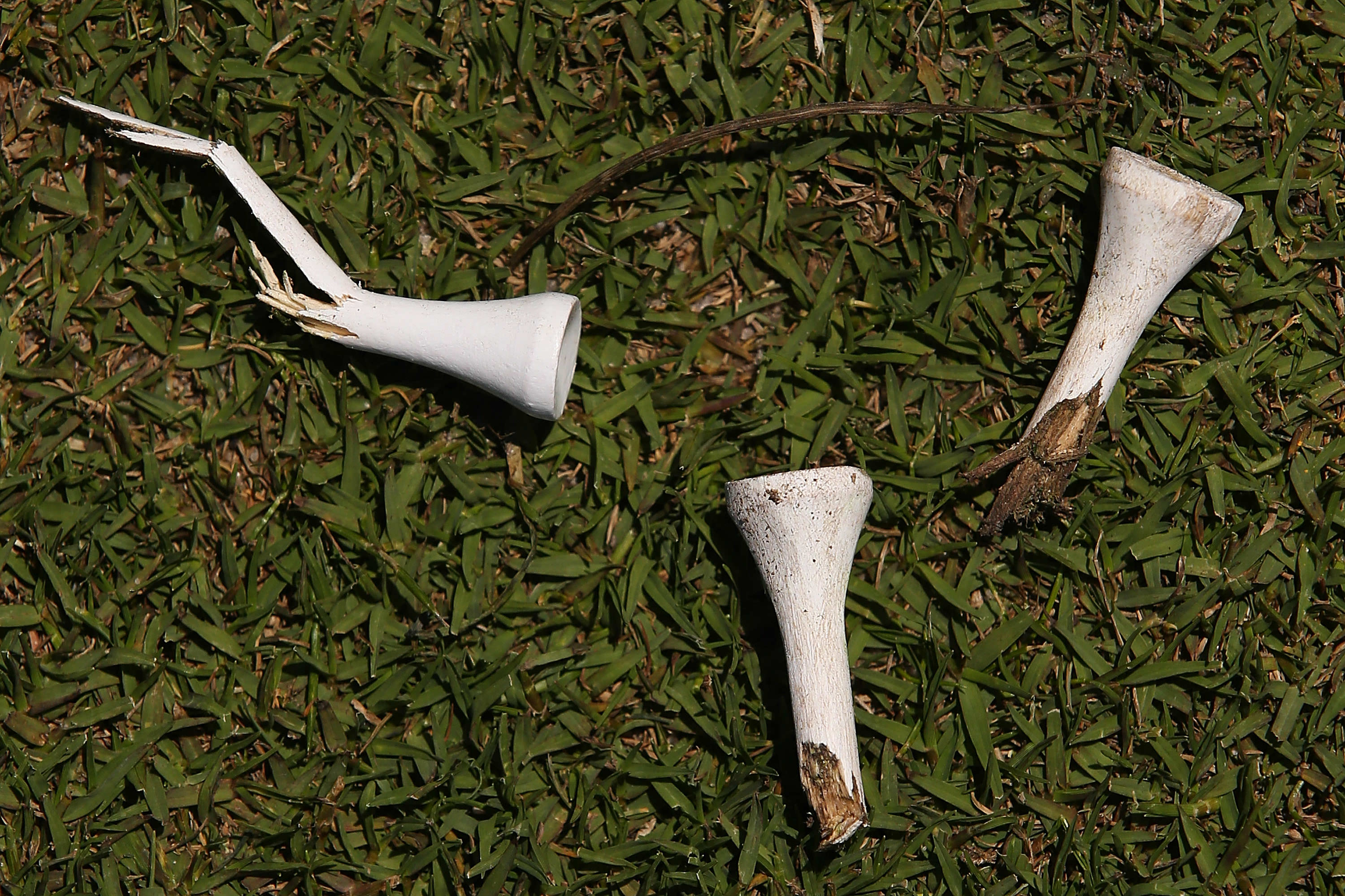 golf room 101 - survey