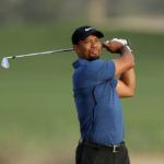 Tiger Woods irons