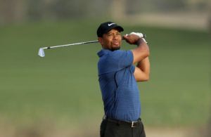 Tiger Woods irons