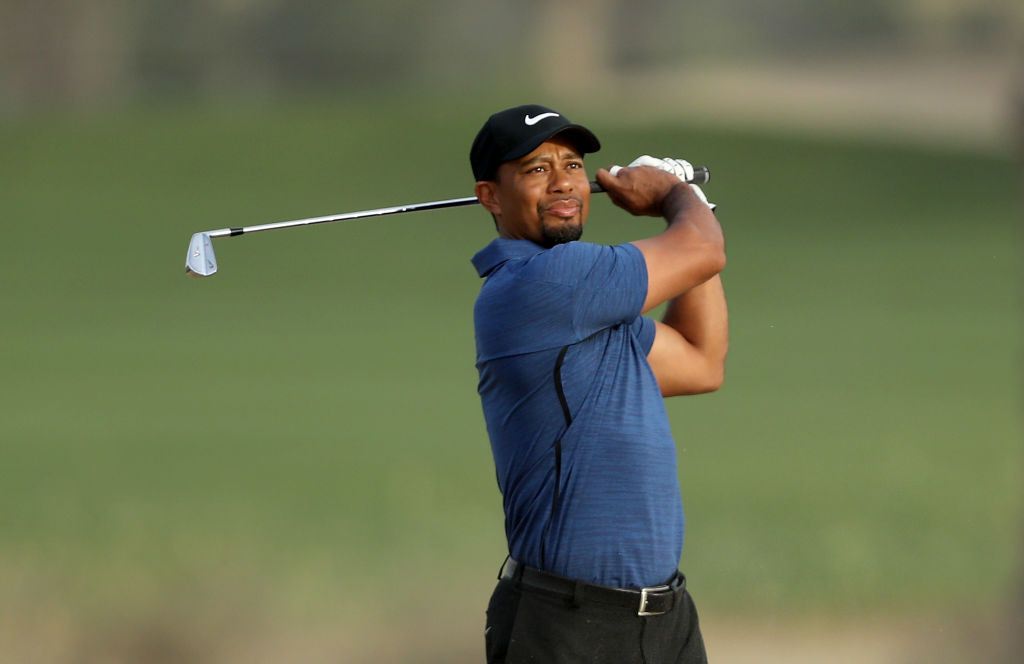 Tiger Woods irons