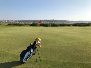 Royal North Devon golf6