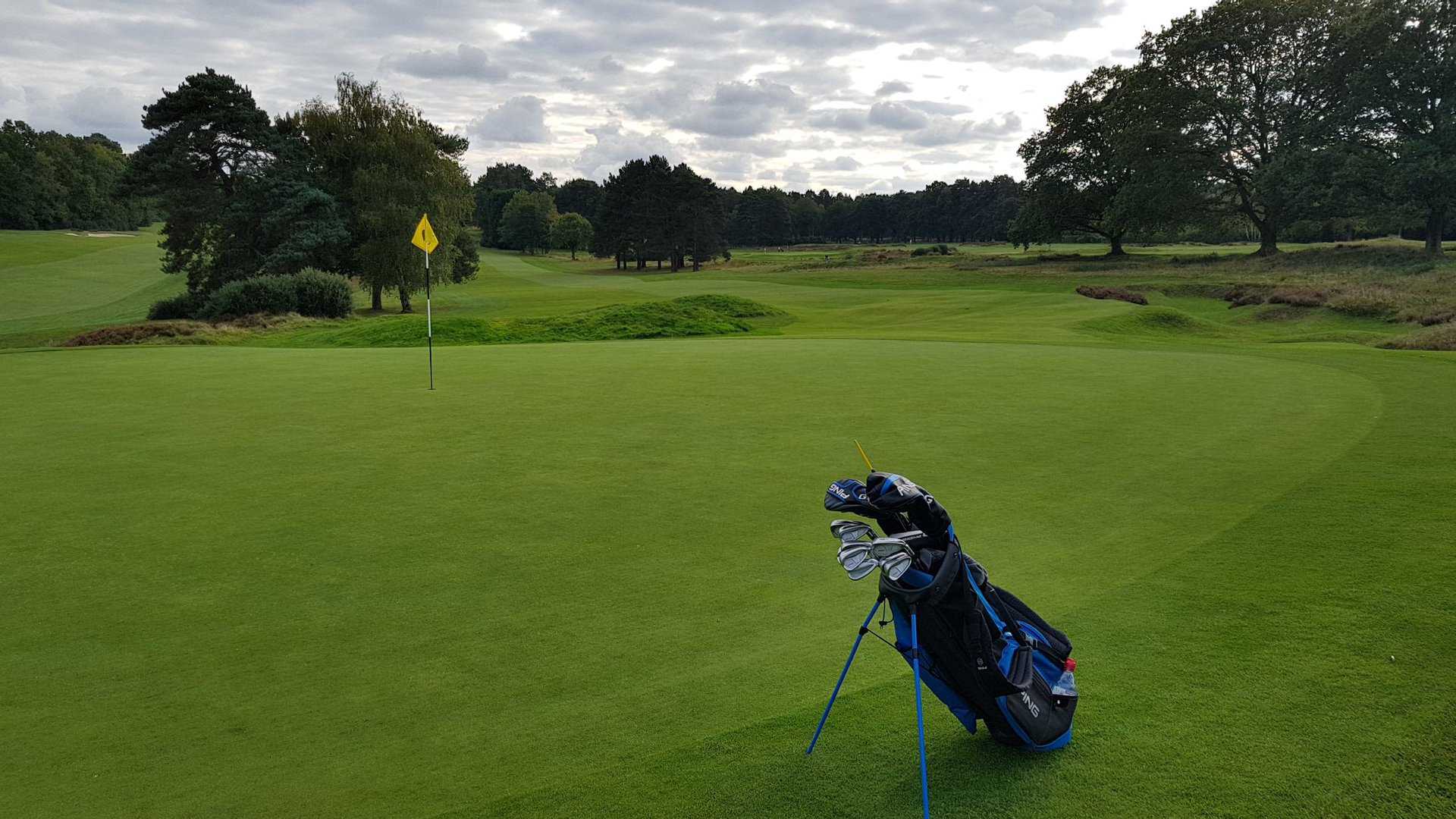 Sunningdale (New) Golf Club review Played by NCG