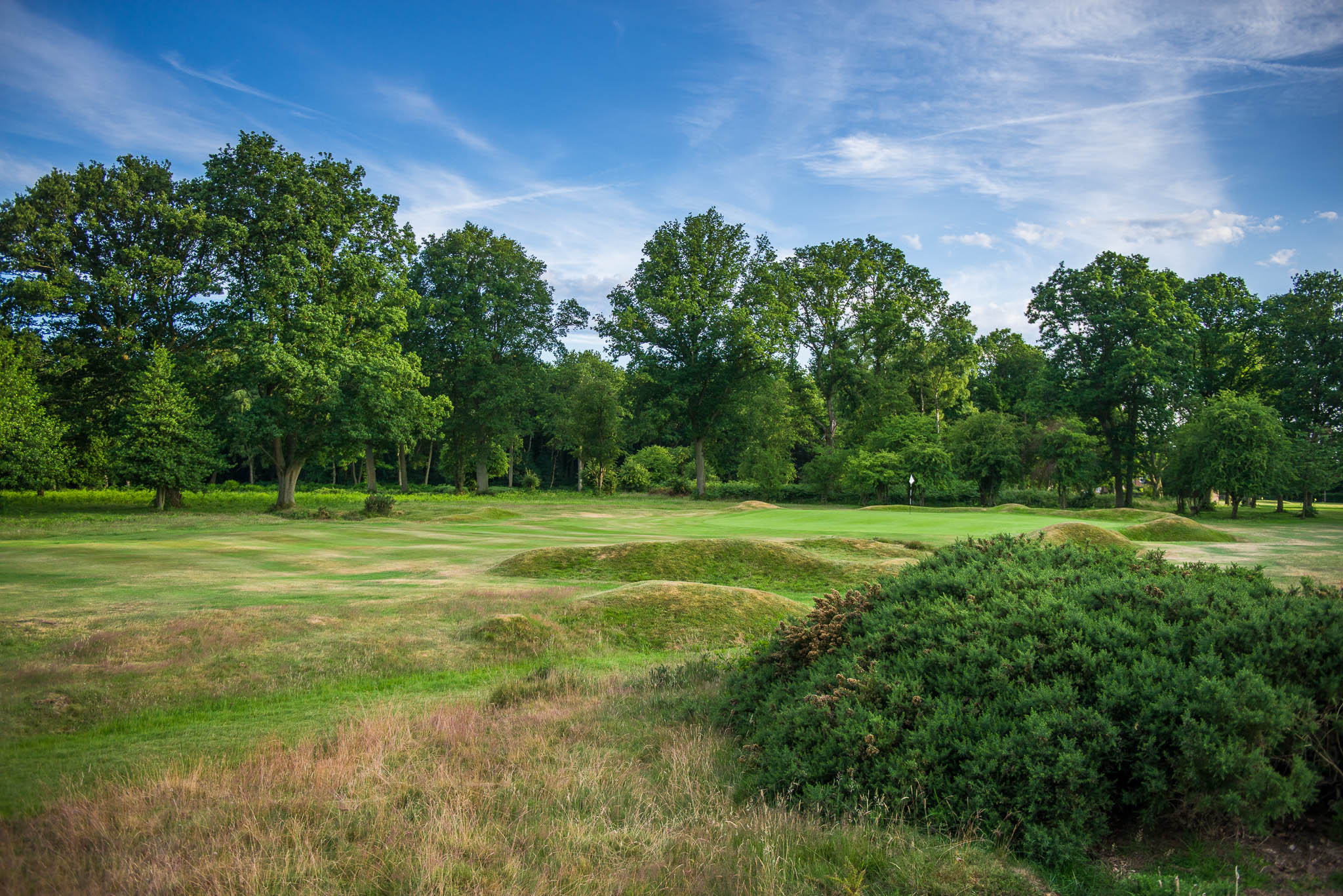 Berkhamsted Golf Club